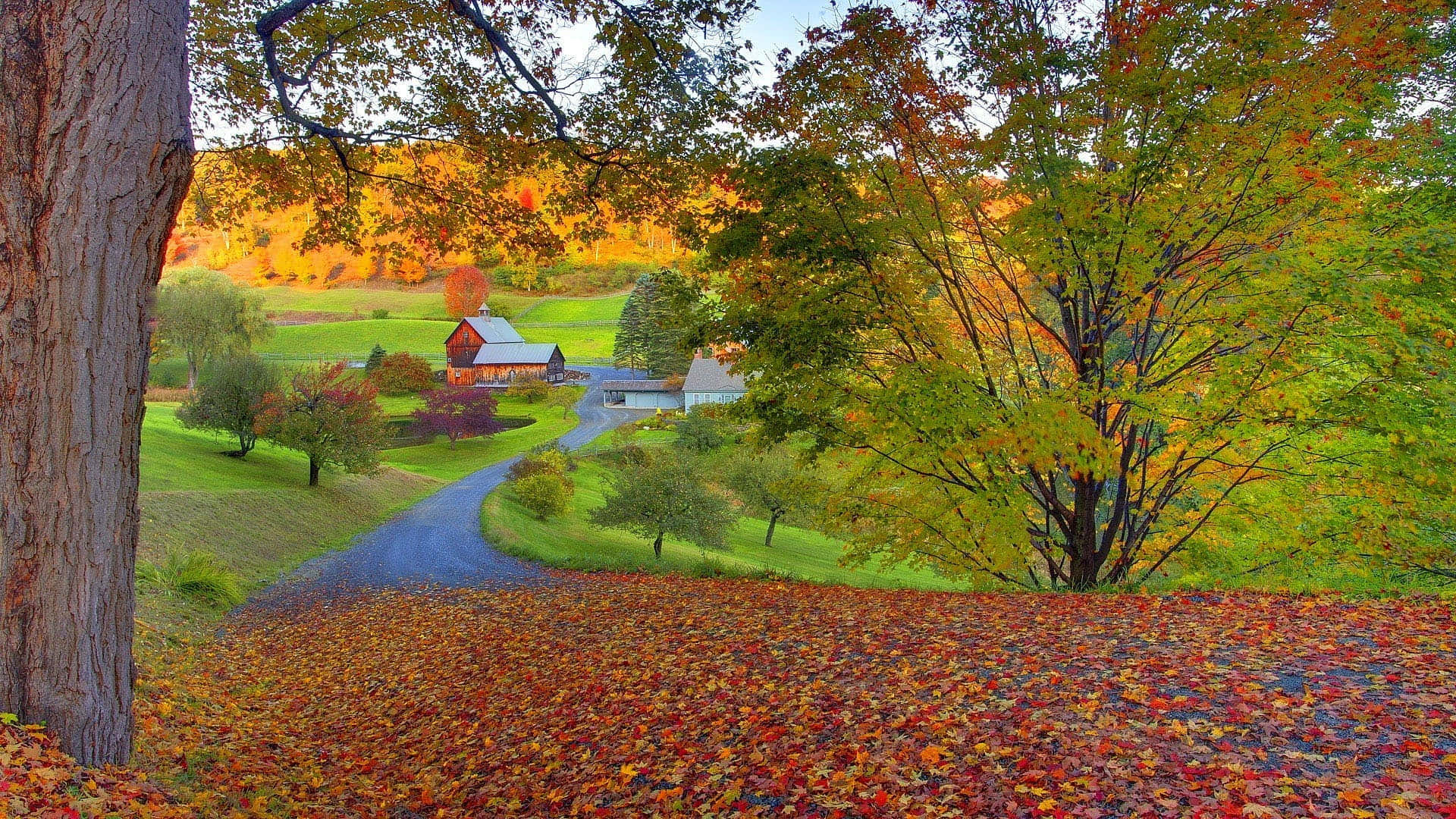 Fall Farmhouse 桌布 壁紙 — 一條蜿蜒的道路穿過充滿活力的秋日景觀，一座紅色穀倉隱藏在色彩繽紛的樹木和落葉之中。