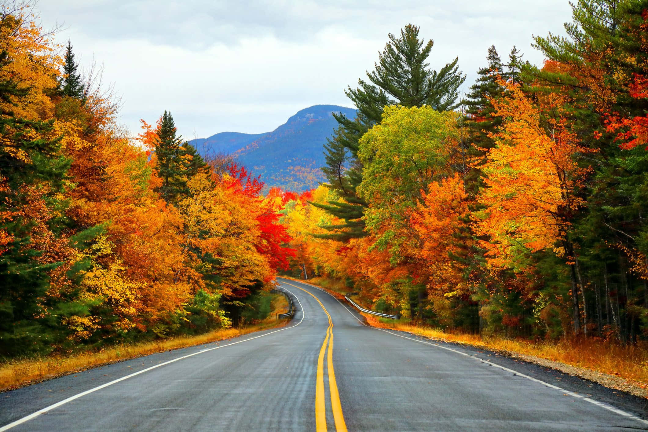 Autumn Foliage 桌布 壁紙 — 一條蜿蜒的道路穿過充滿活力的秋日森林，兩旁是火紅的橙色和紅色樹葉，天空多雲。