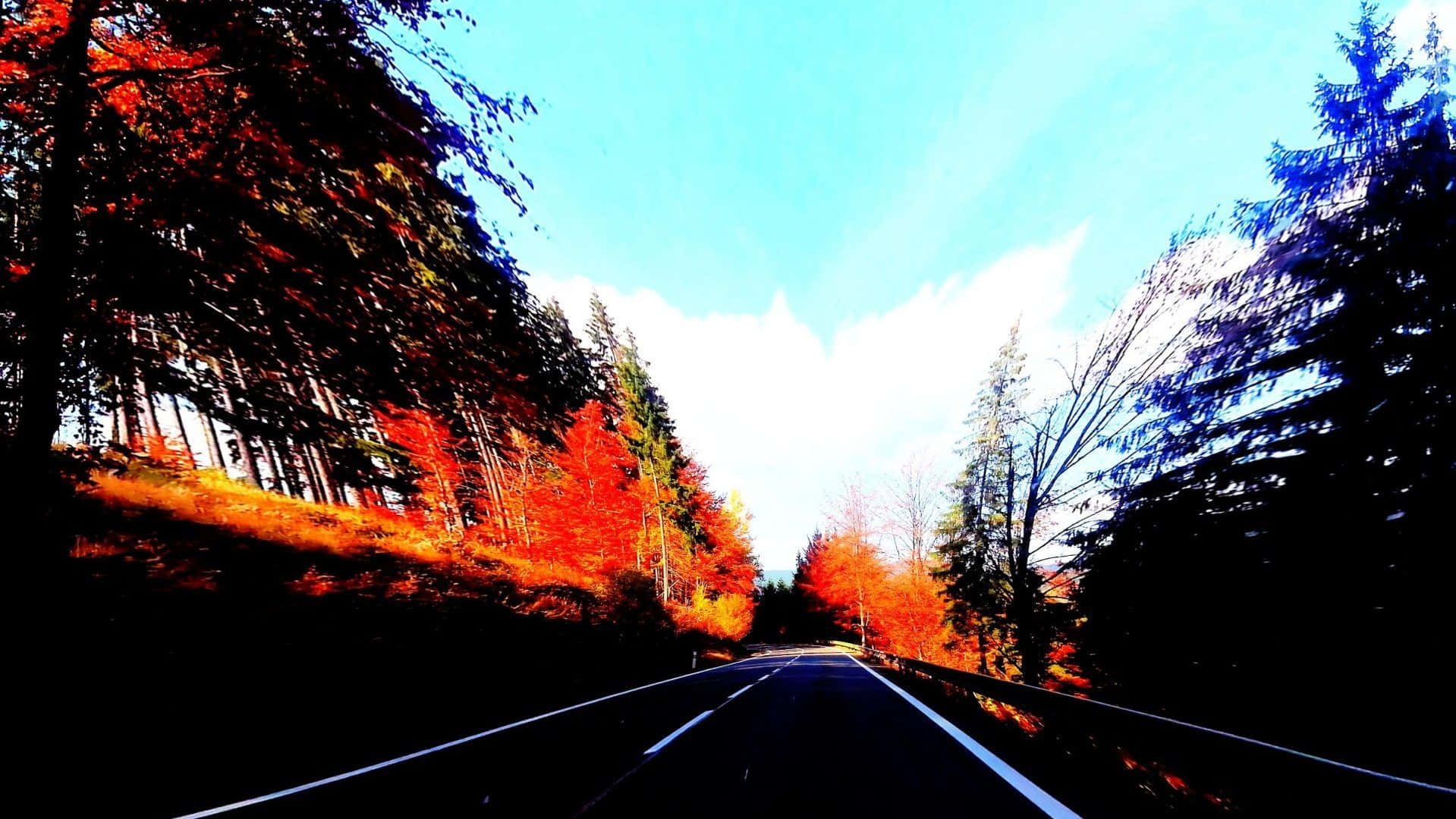 Road 桌布 壁紙 — 一條蜿蜒的道路穿過充滿活力的秋日森林，樹木呈現火紅和橙色，在明亮的藍天下。