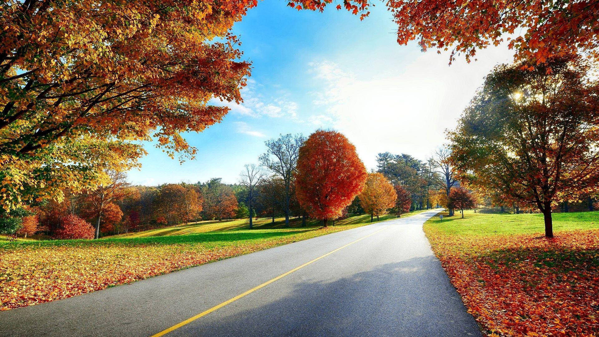 Scenery 桌布 壁紙 — 一條蜿蜒的道路穿過充滿活力的秋日森林，火紅和橙色的樹葉在清澈的藍天下勾勒出小徑。