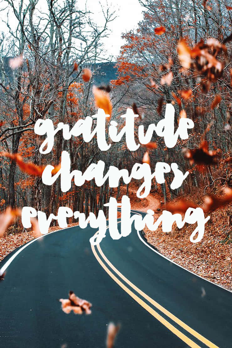 Gratitude 桌布 壁紙 — 一條蜿蜒的道路穿過樹林，橙色樹葉飄落，並疊加了「感恩改變一切」的文字。