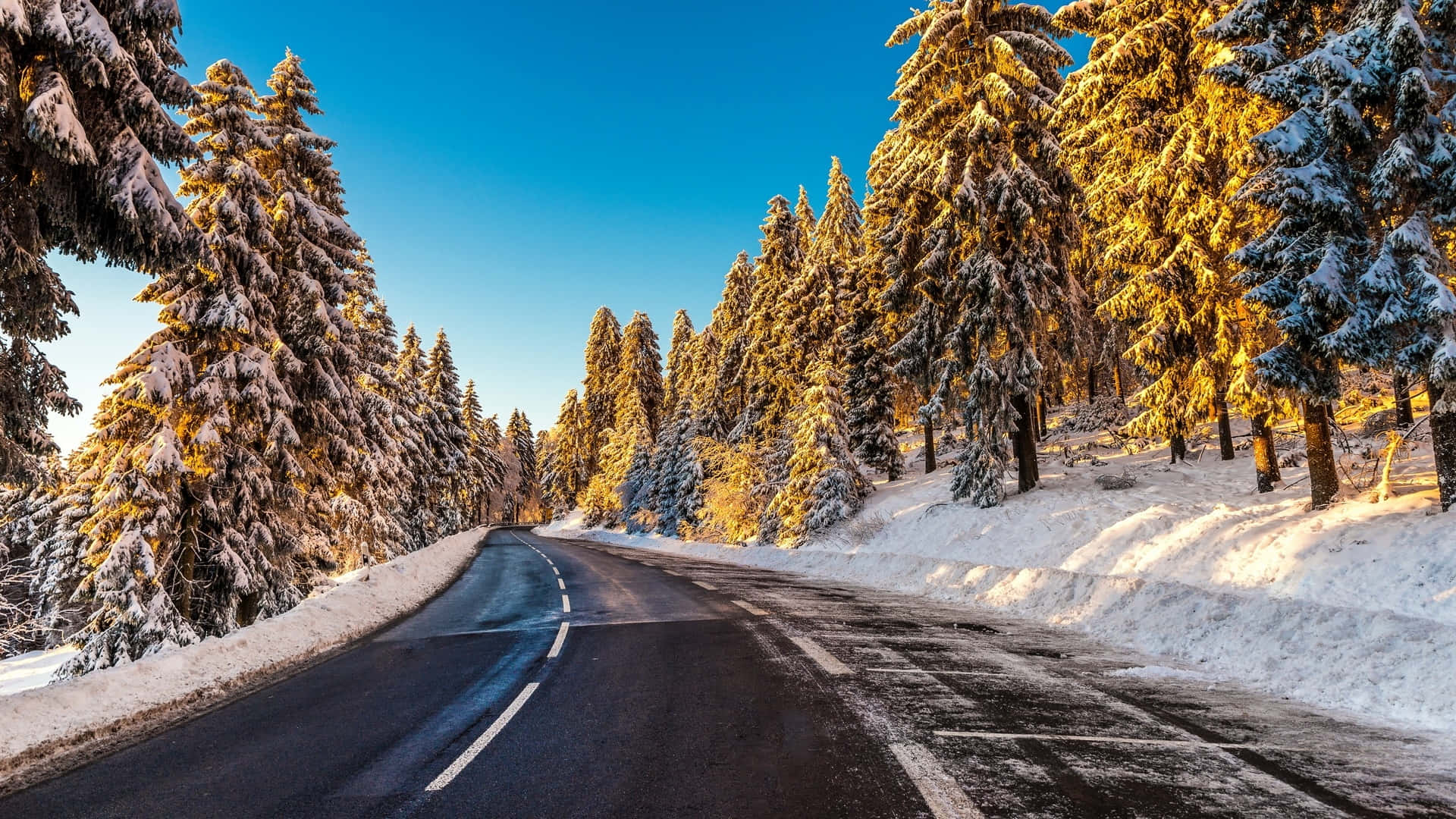 Road 桌布 壁紙 — 一條蜿蜒的道路穿過白雪覆蓋的松樹，在清澈的藍天下，金色的陽光照亮了樹枝。
