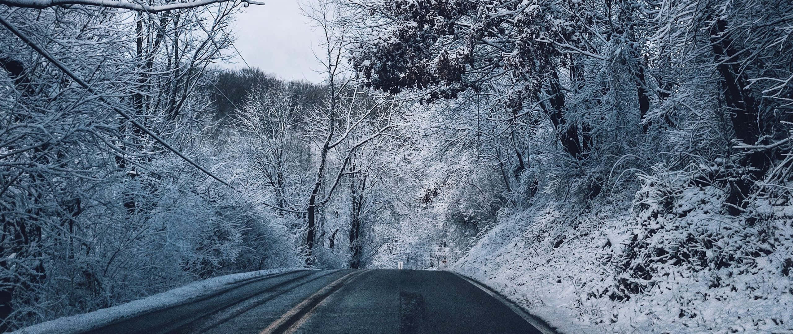 Road 桌布 壁紙 — 一條蜿蜒的道路穿過白雪覆蓋的森林，樹木結滿霜，天空陰沉沉的冬日。
