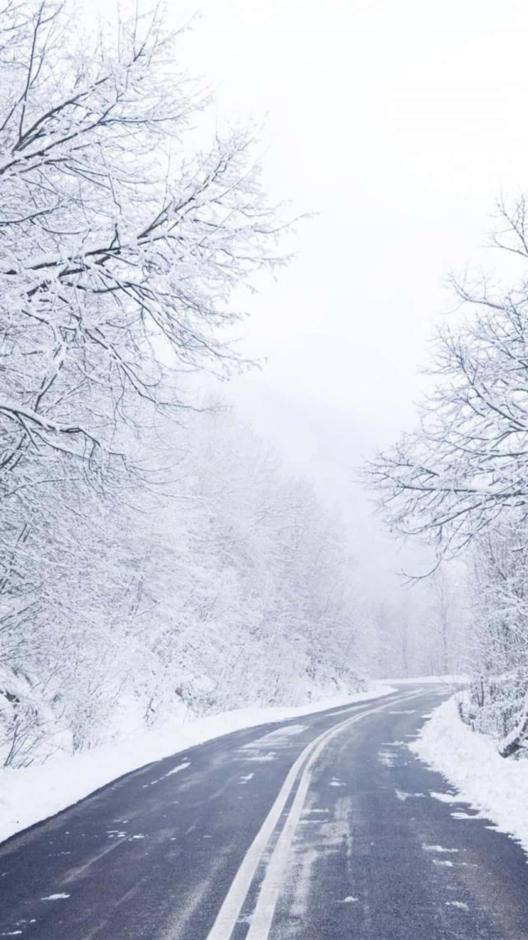 Road 桌布 壁紙 — 一條蜿蜒的道路穿過白雪覆蓋的森林，光禿禿的樹木在陰天天空下披上白霜。