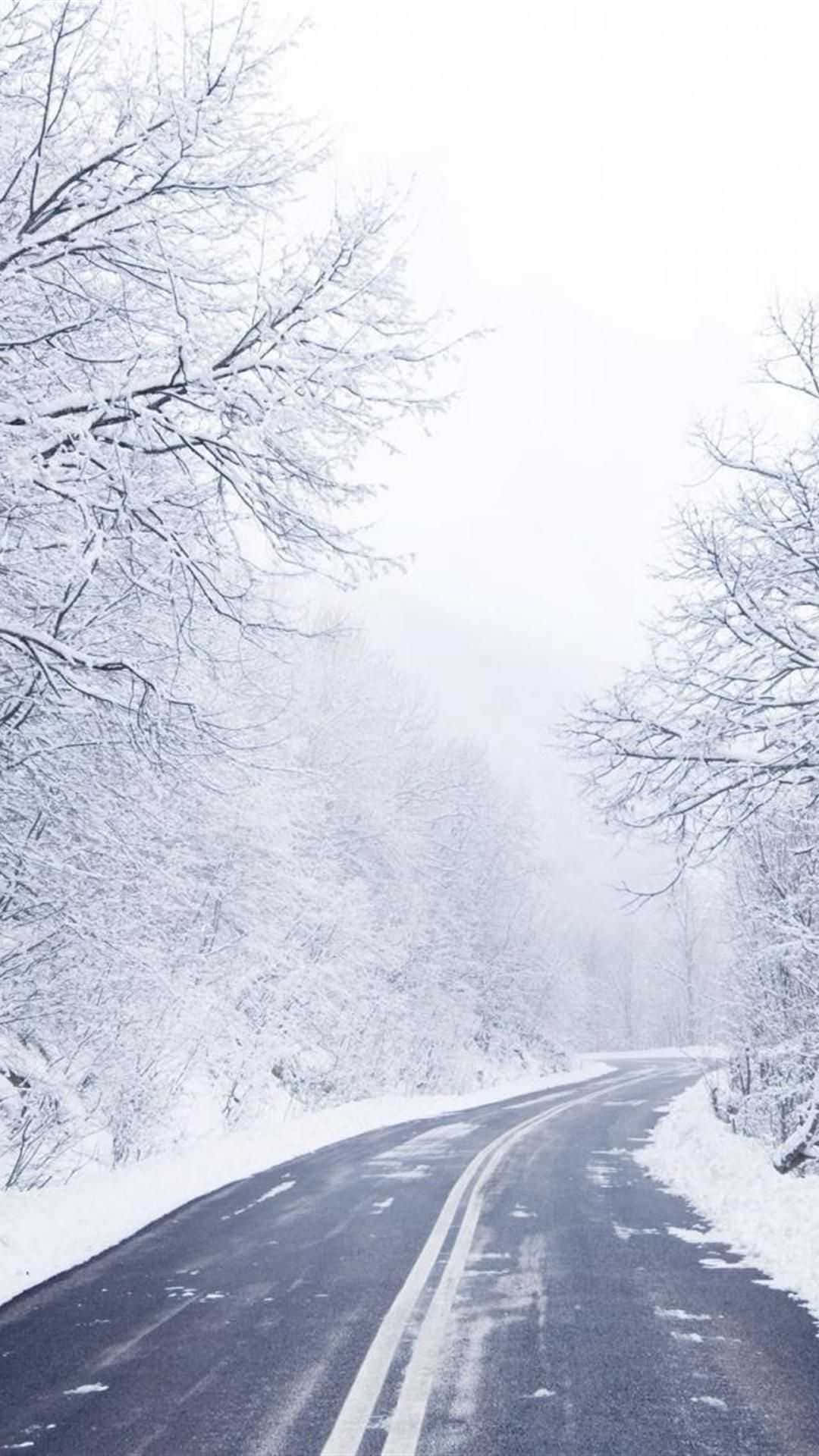 Cute Winter 桌布 壁紙 — 一條蜿蜒的道路穿過白雪覆蓋的森林，光禿禿的樹木在朦朧的冬日天空下披上白霜。