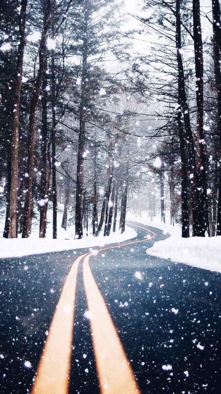 冬季美學 桌布 壁紙 — 一條蜿蜒的道路穿過白雪覆蓋的森林，雪花飄落，兩旁是光禿禿的樹木。