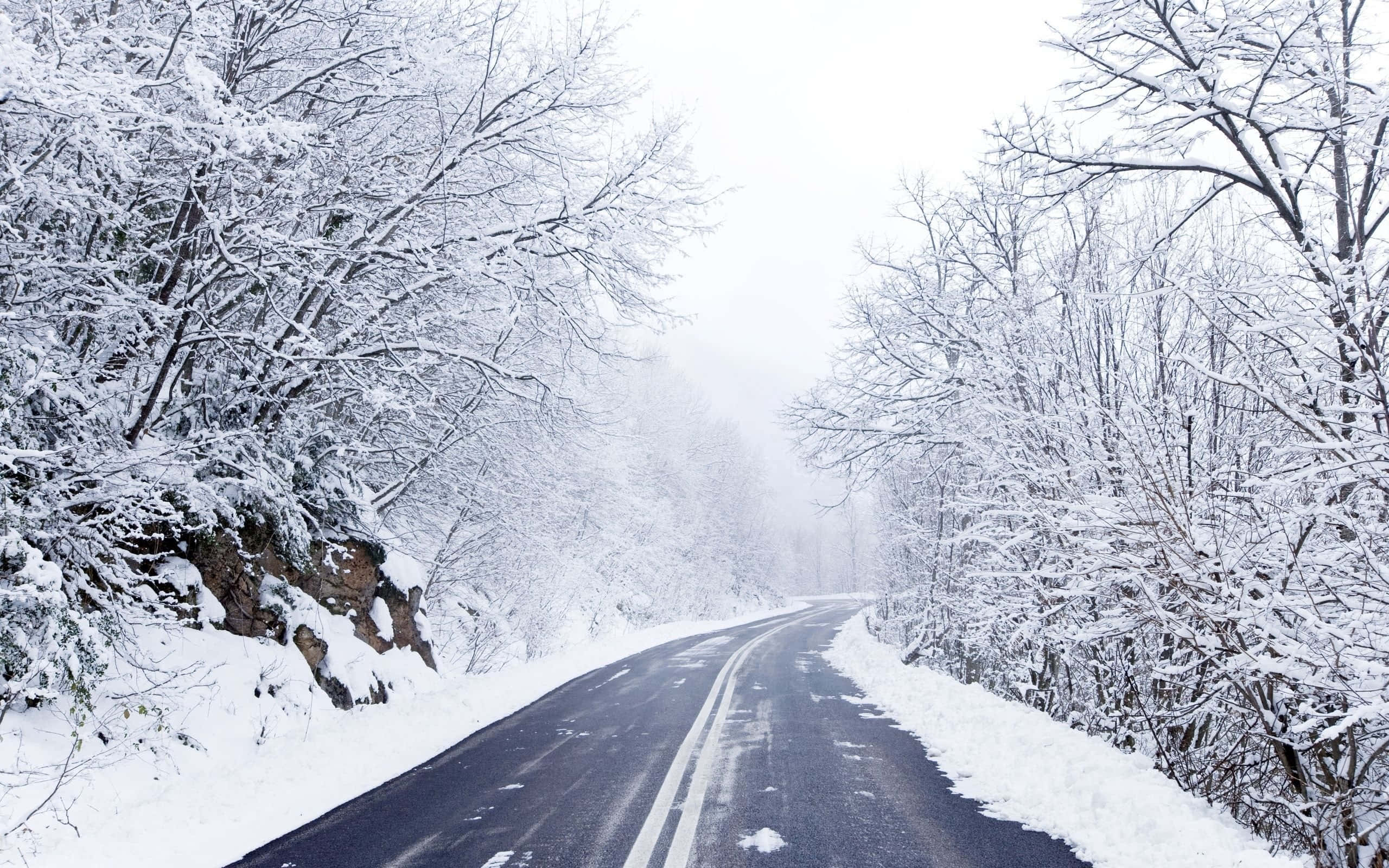Icy Road 桌布 壁紙 — 一條蜿蜒的道路穿過白雪覆蓋的森林，光禿禿的樹木在朦朧的冬日天空下披上白色。