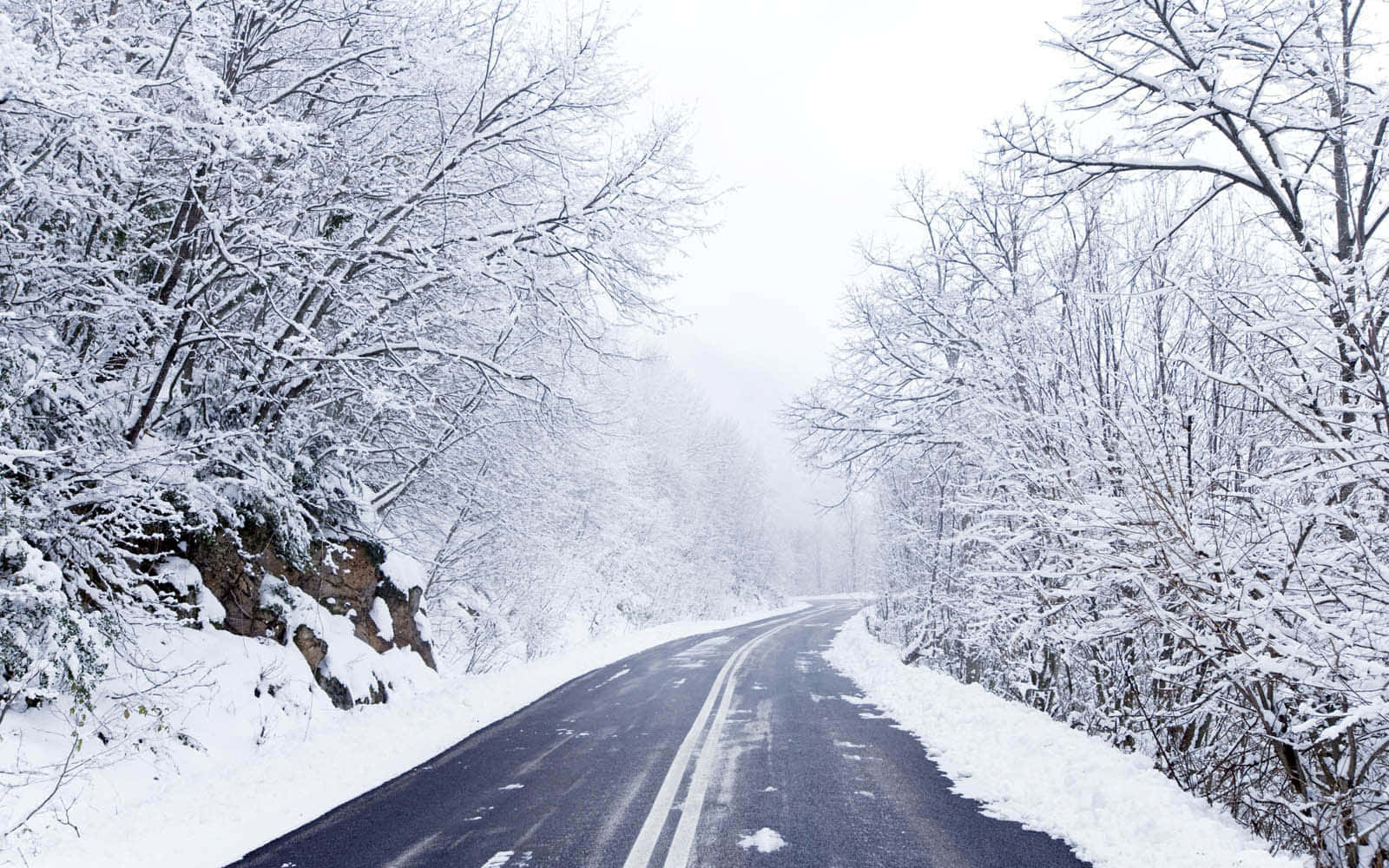 Road 桌布 壁紙 — 一條蜿蜒的道路穿過白雪覆蓋的森林，光禿禿的樹木在陰天之下披著白霜。