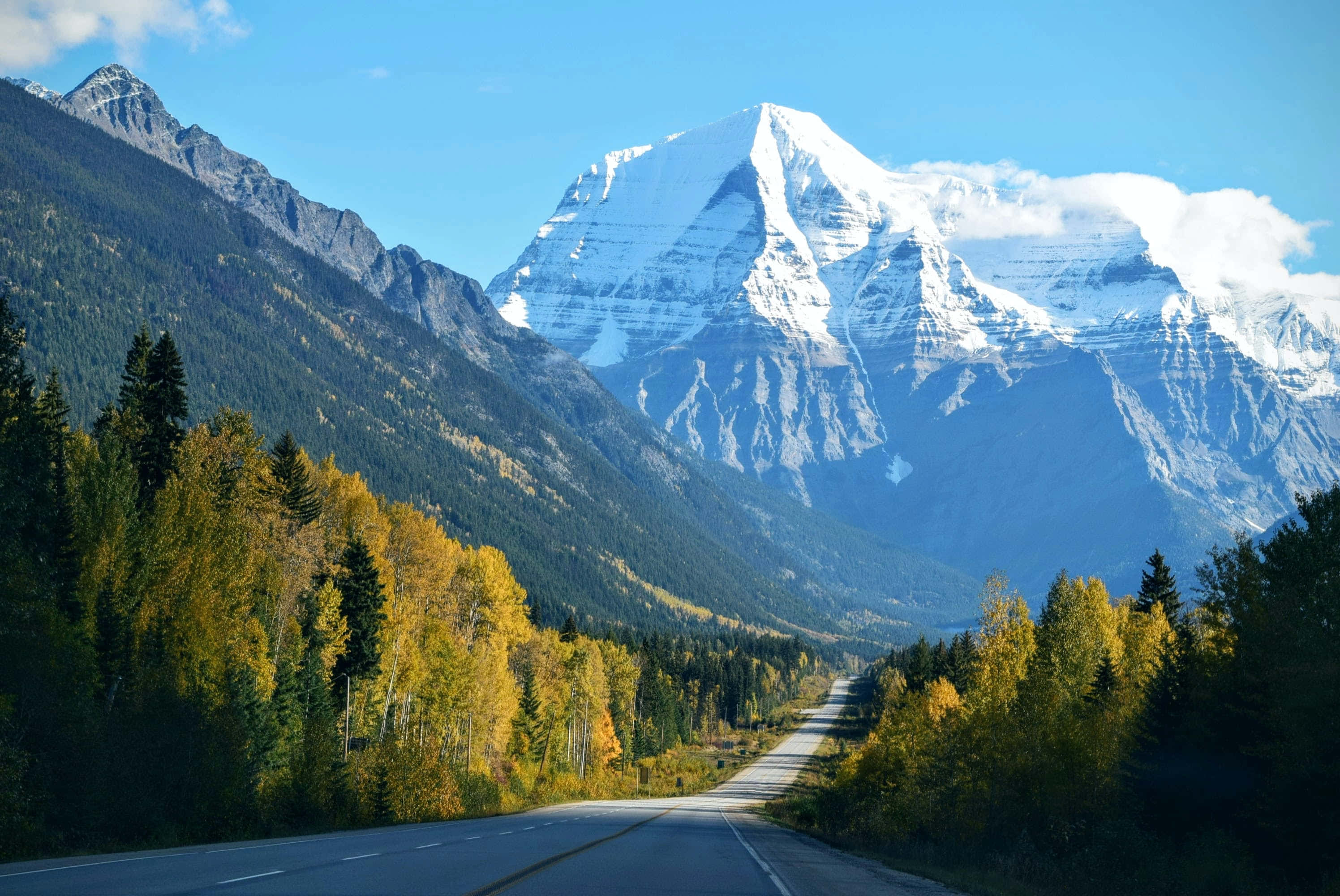 山景 桌布 壁紙 — 一條蜿蜒的道路穿過秋天的森林，通向一座在清澈藍天下雄偉的雪山。
