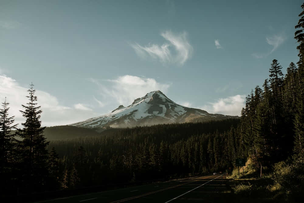 Mount Hood 桌布 壁紙 — 一條蜿蜒的道路穿過茂密的常綠森林，通往一座積雪覆蓋的山峰，天空柔和湛藍，飄著縷縷薄雲。