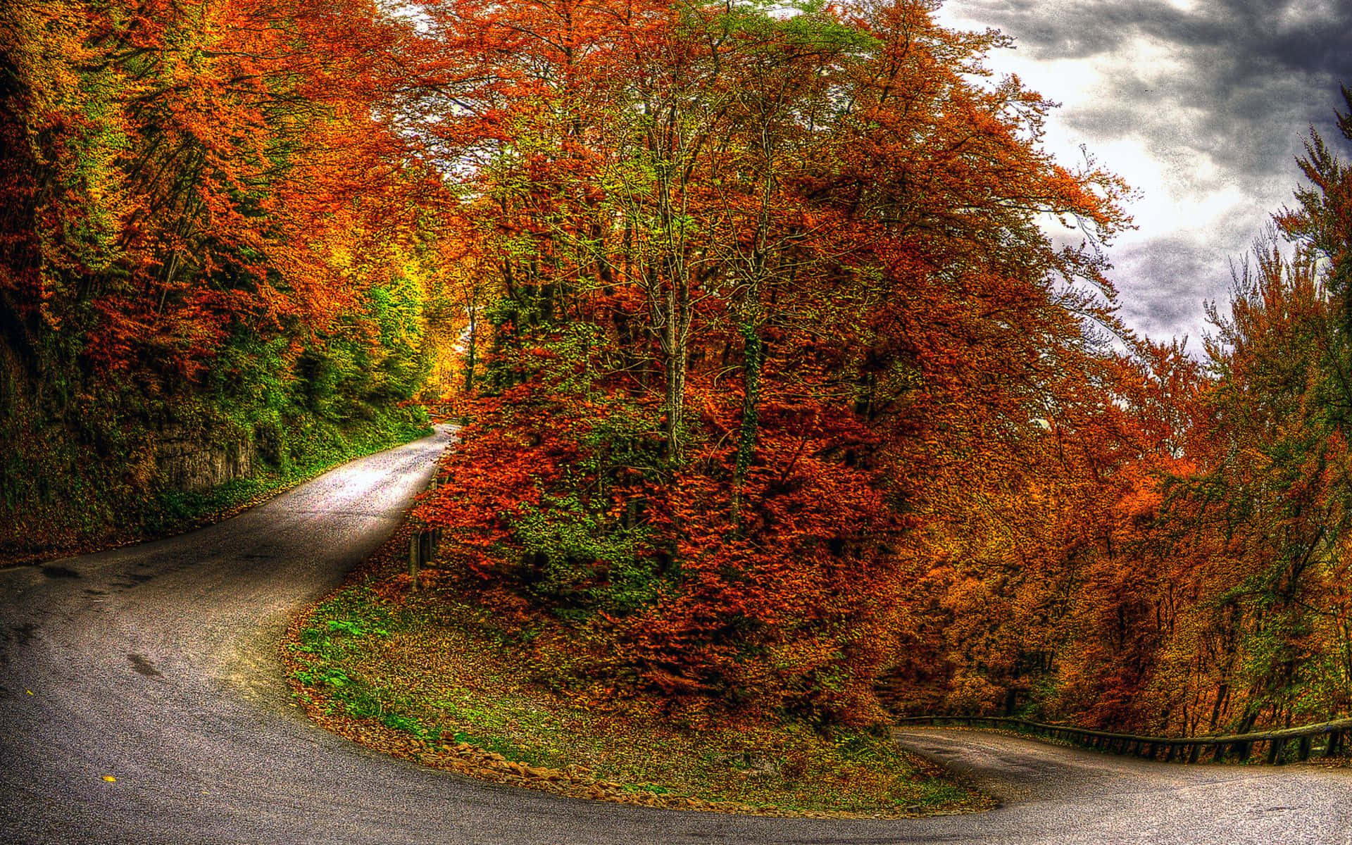 Perfect Fall 桌布 壁紙 — 一條蜿蜒的道路穿過茂密的森林，在戲劇性的多雲天空下，森林裡佈滿了火紅的橙色和紅色秋葉。