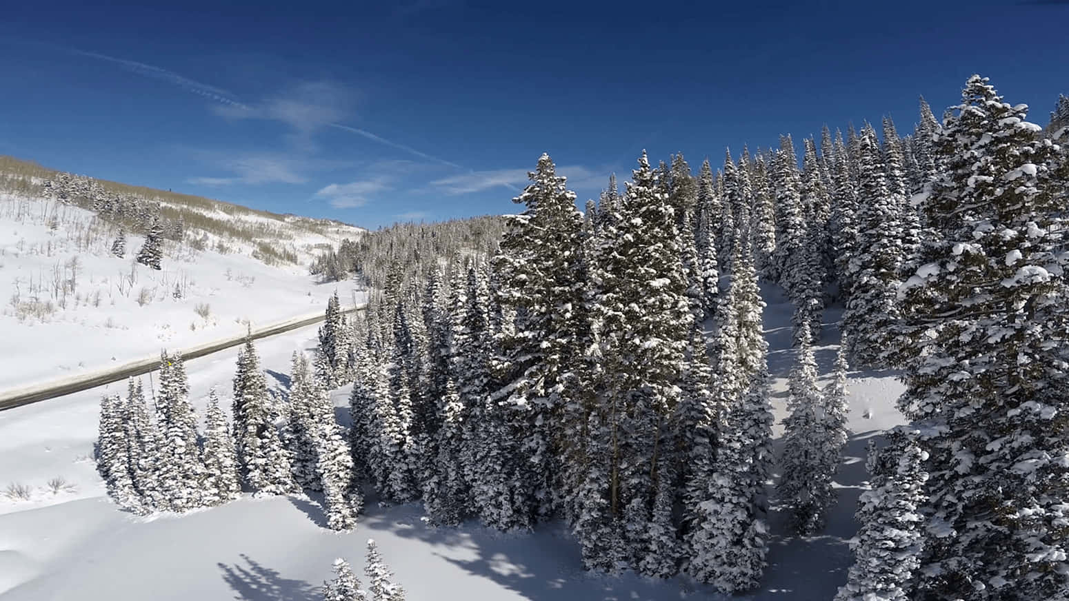 Snow 4K 桌布 壁紙 — 一條蜿蜒的道路穿過茂密的雪覆蓋常綠樹林，在清澈的藍天下。