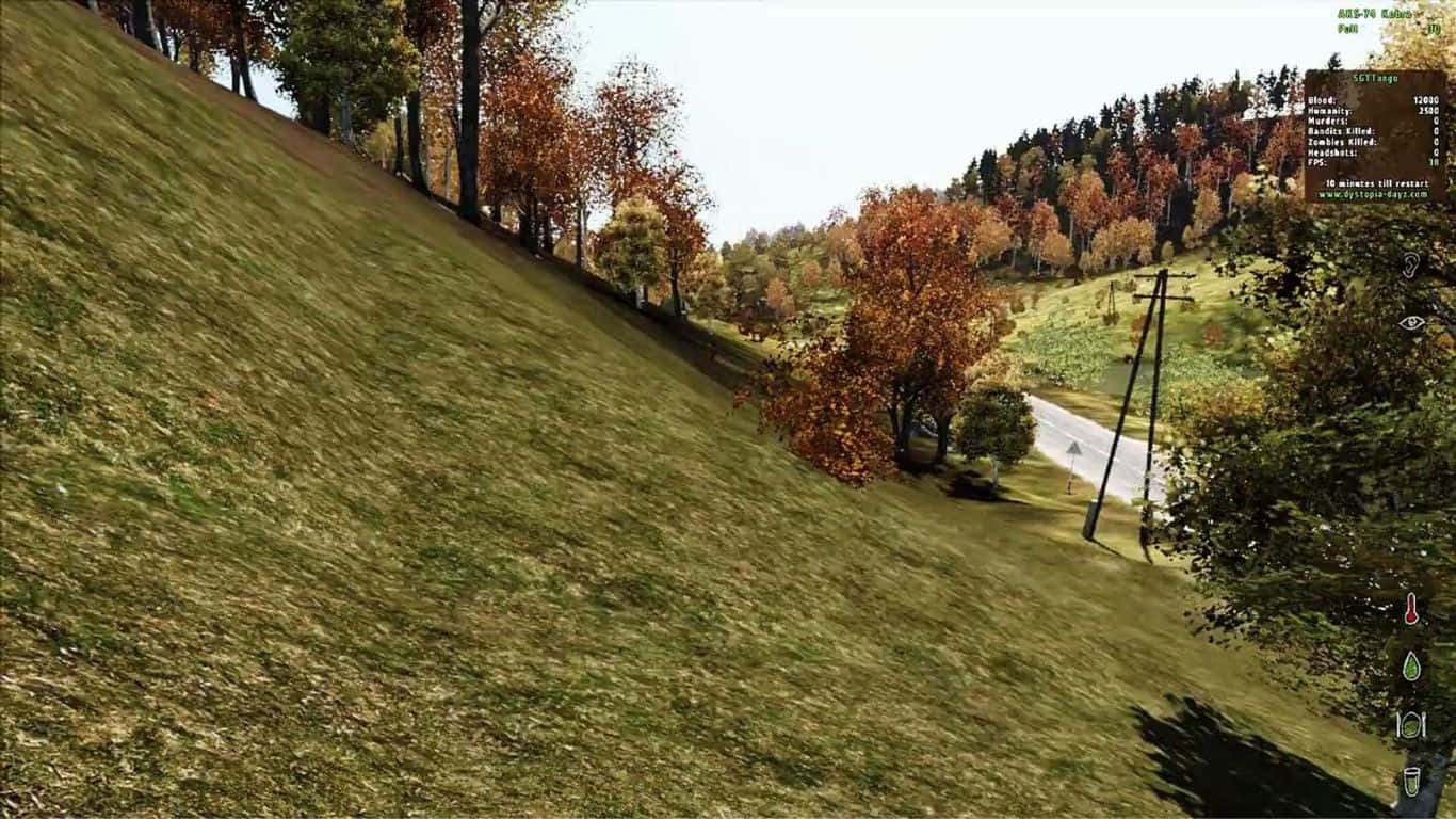 trees 桌布 壁紙 — 一條蜿蜒的道路穿過長滿青草的山坡，兩旁種滿了秋樹，天空明亮。