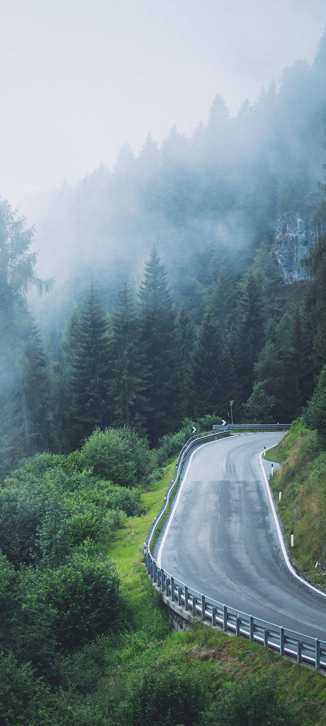Road 桌布 壁紙 — 一條蜿蜒的道路穿過霧氣瀰漫的森林，有高大的常綠樹和霧氣依附在山腰上。