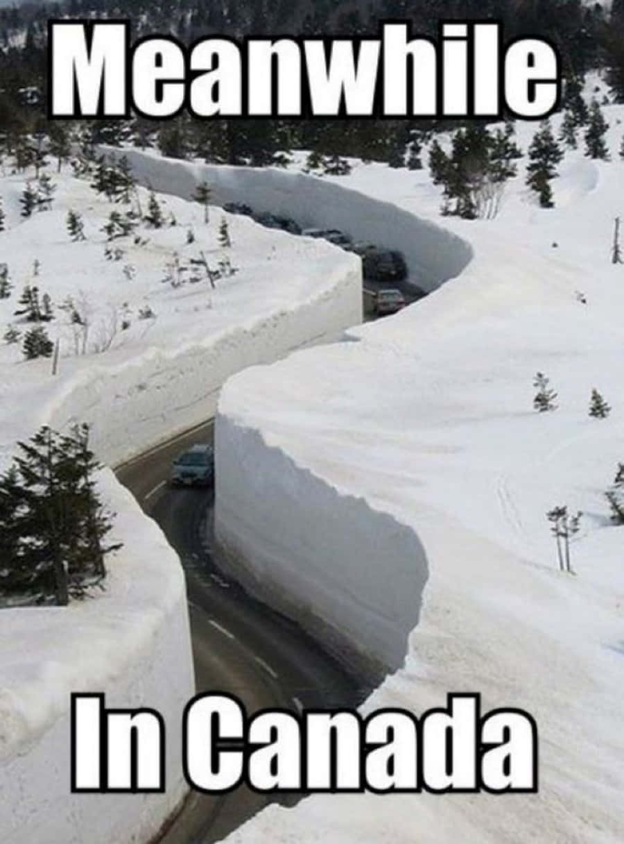 Road 桌布 壁紙 — 一條蜿蜒的道路穿過高聳的雪堆，汽車在白雪覆蓋的加拿大冬季景觀中行駛。
