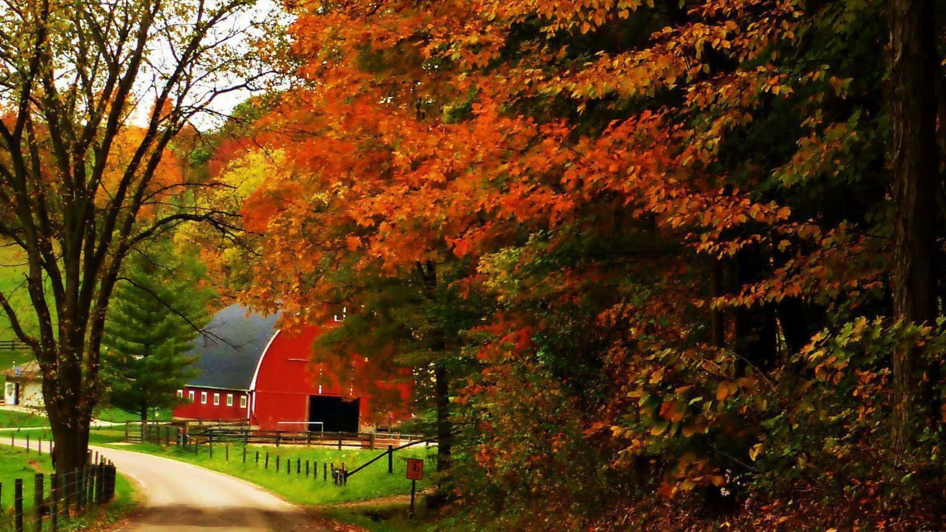 Fall Landscape 桌布 壁紙 — 一條蜿蜒的道路繞過一座紅色穀倉，坐落在火紅的橙色和金色秋樹之間。