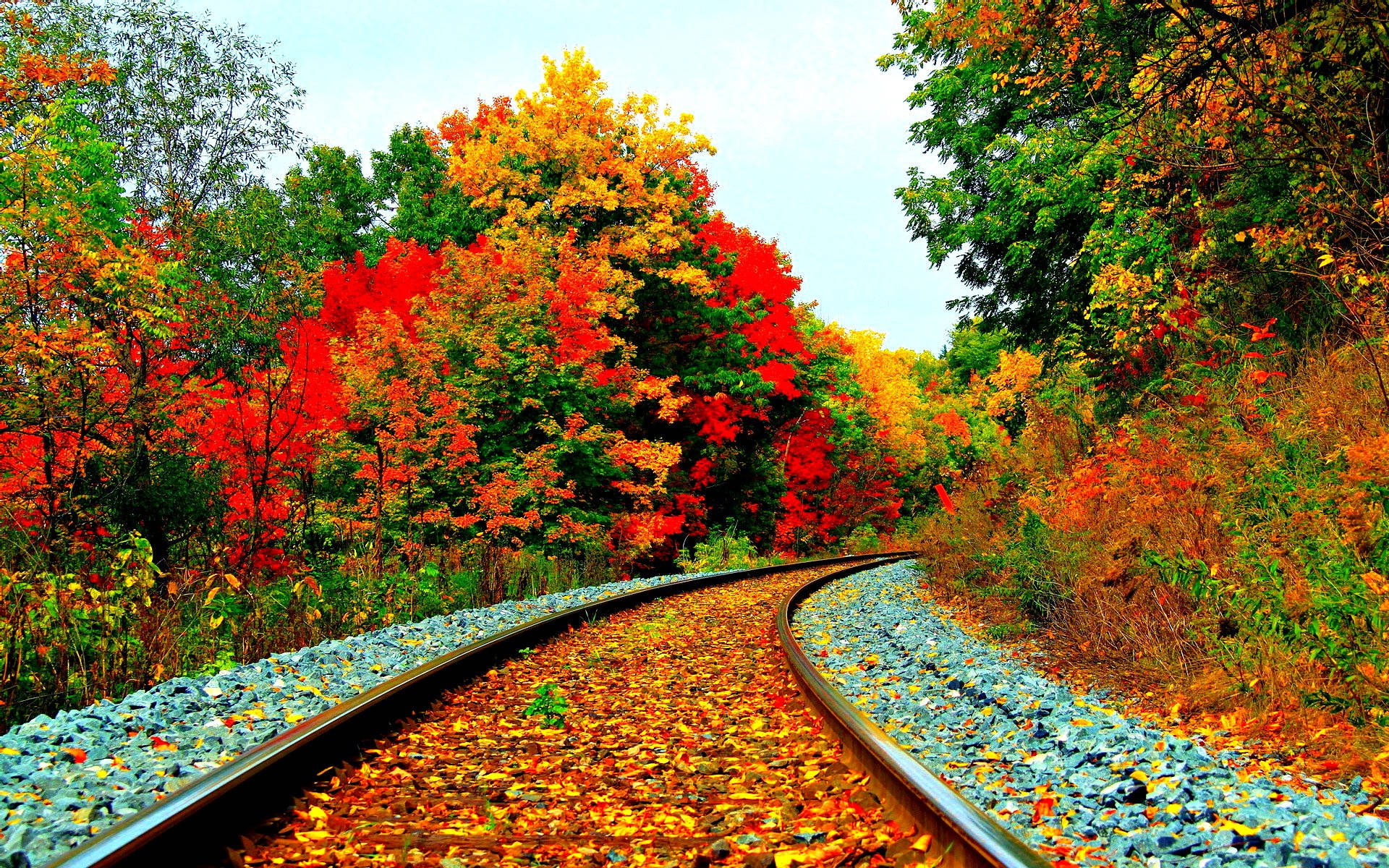 Autumn Season 桌布 壁紙 — 一條蜿蜒的鐵路軌道在蒼白的天空下，穿過一片充滿活力的秋日森林，森林中有火紅、橙色和金色的樹葉。