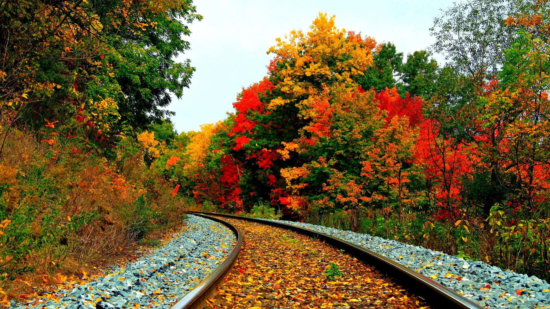 Colorful Trees 桌布 壁紙 — 一條蜿蜒的鐵路軌道穿過充滿活力的秋日森林，樹葉呈現火紅、橙色和金色。