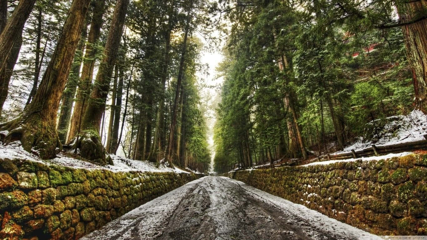 Road 桌布 壁紙 — 一條蜿蜒的雪路，兩旁是長滿苔蘚的石牆和參天的常青樹，在明亮的天空下。
