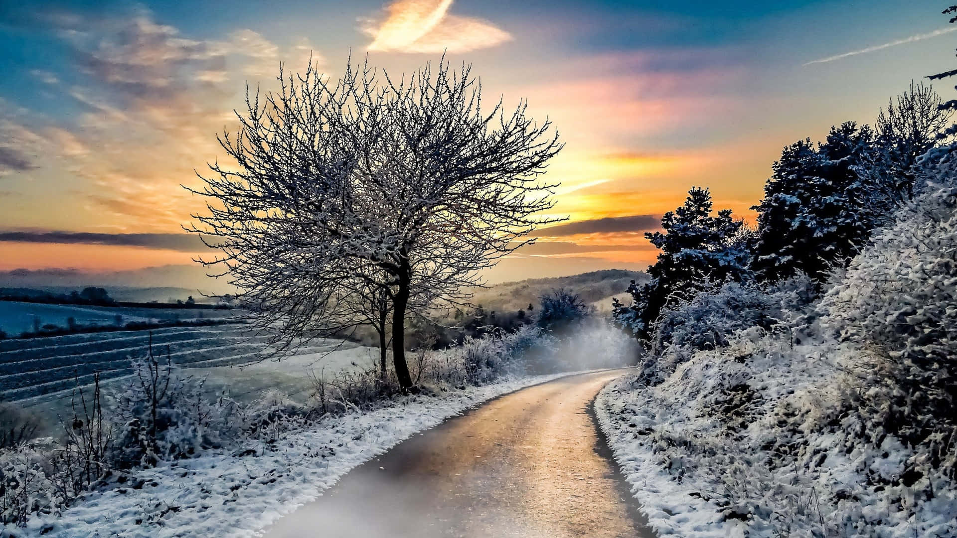 Winter Laptop 桌布 壁紙 — 一條蜿蜒的雪路在充滿活力的日落天空下，繞過一棵結霜的樹。