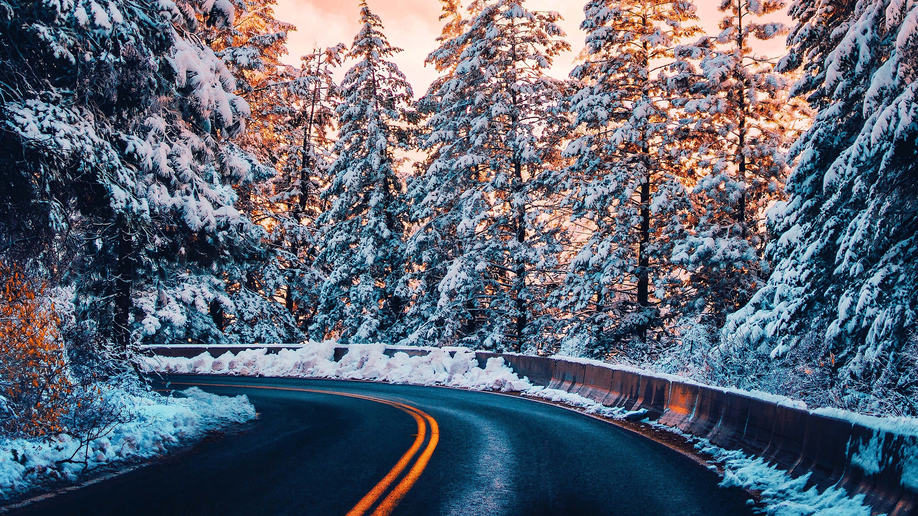 Road 桌布 壁紙 — 一條蜿蜒的雪路在日落時分穿過茂密的森林，金色的陽光照亮了積雪的松樹。