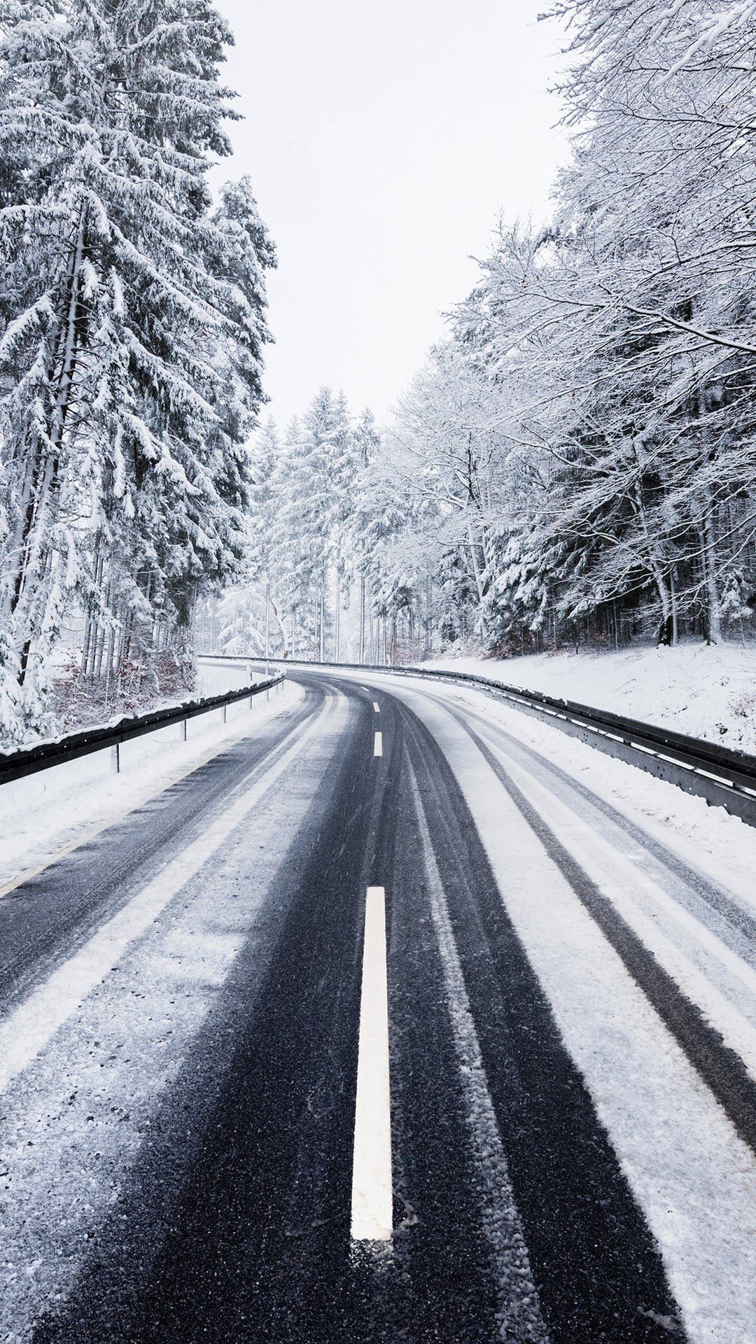 冬季 iPhone 壁紙 桌布 壁紙 — 一條蜿蜒的雪路穿過茂密的冬季森林，兩旁都是積雪的樹木。