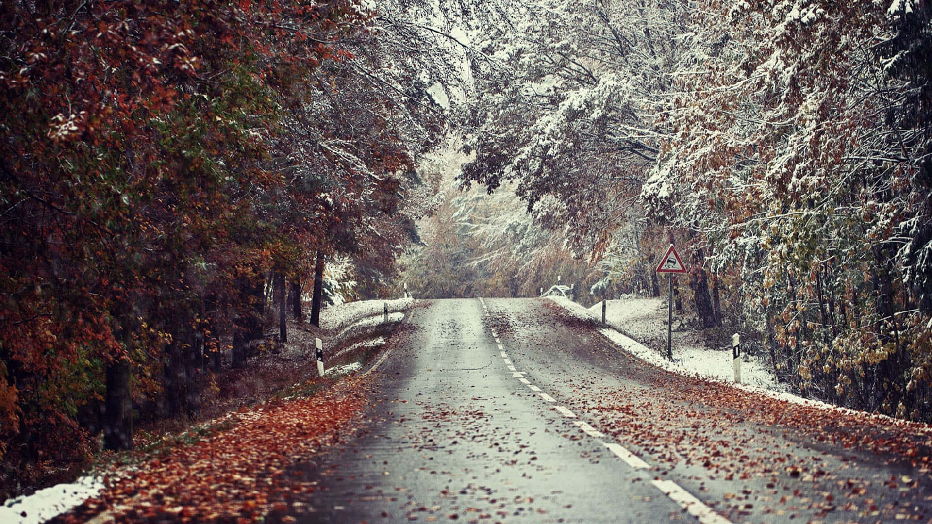 Road 桌布 壁紙 — 一條蜿蜒穿過森林的道路，白雪覆蓋樹枝，落葉鋪滿路面，天空陰沉。