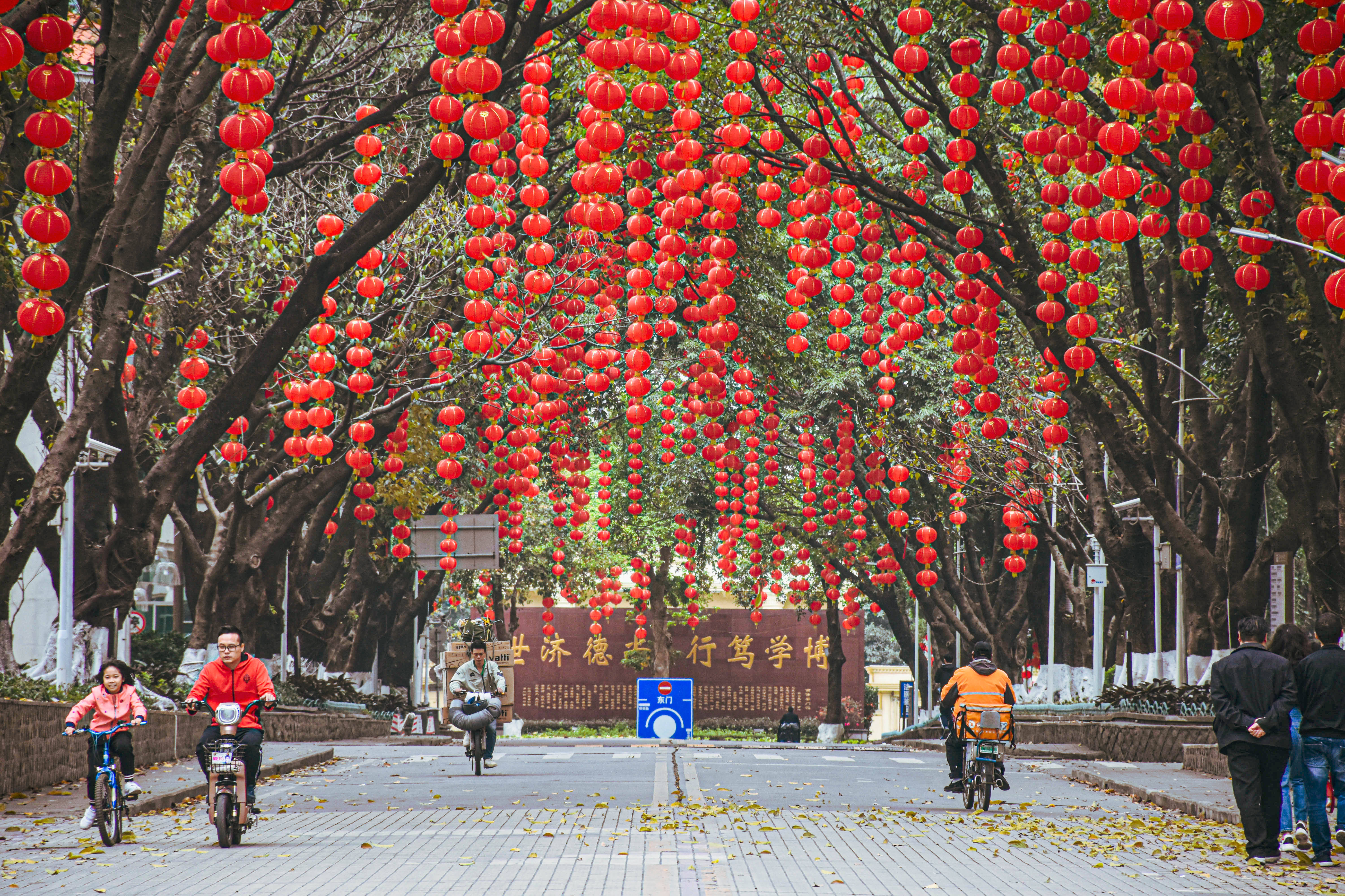 大學 桌布 壁紙 — 一條街道兩旁樹木掛滿鮮豔的紅色燈籠，人們在節日般的樹蔭下騎腳踏車和步行。