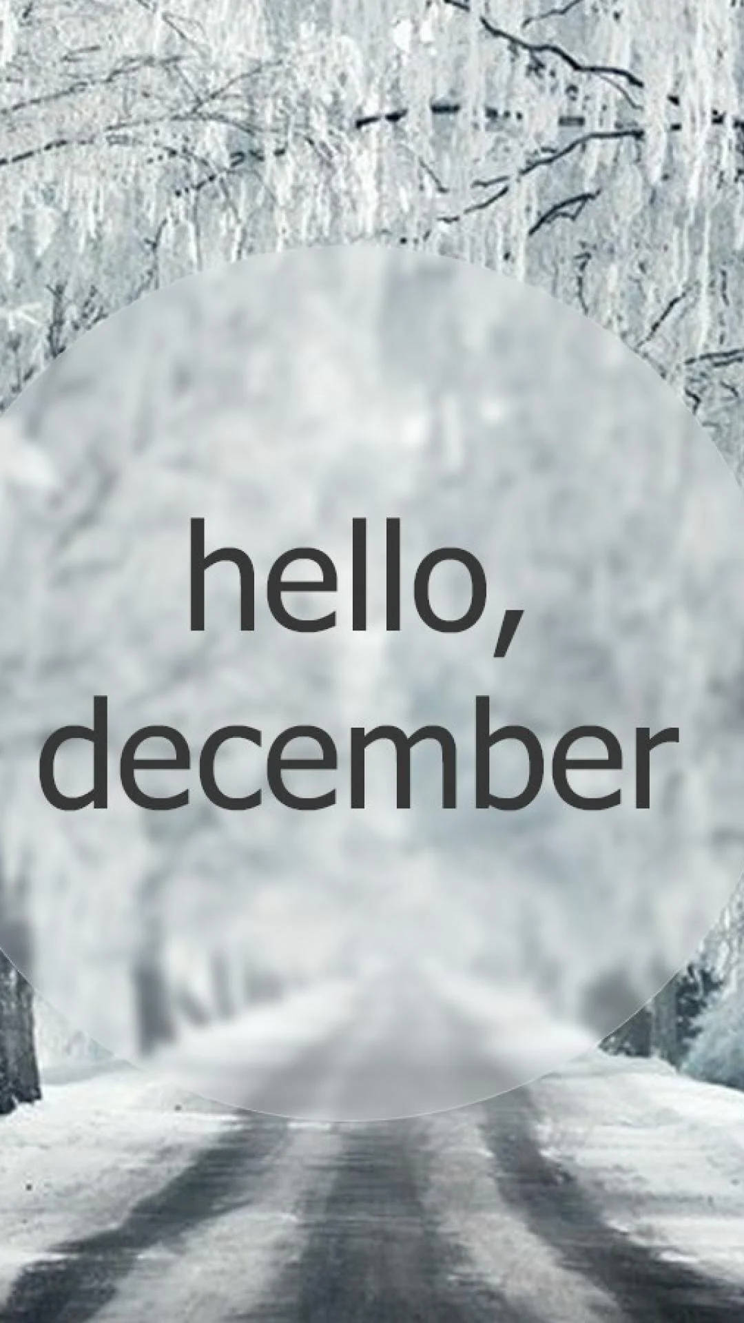 雪 桌布 壁紙 — 一條被冰枝框住的雪森林道路，上面覆蓋著 hello december 文字。