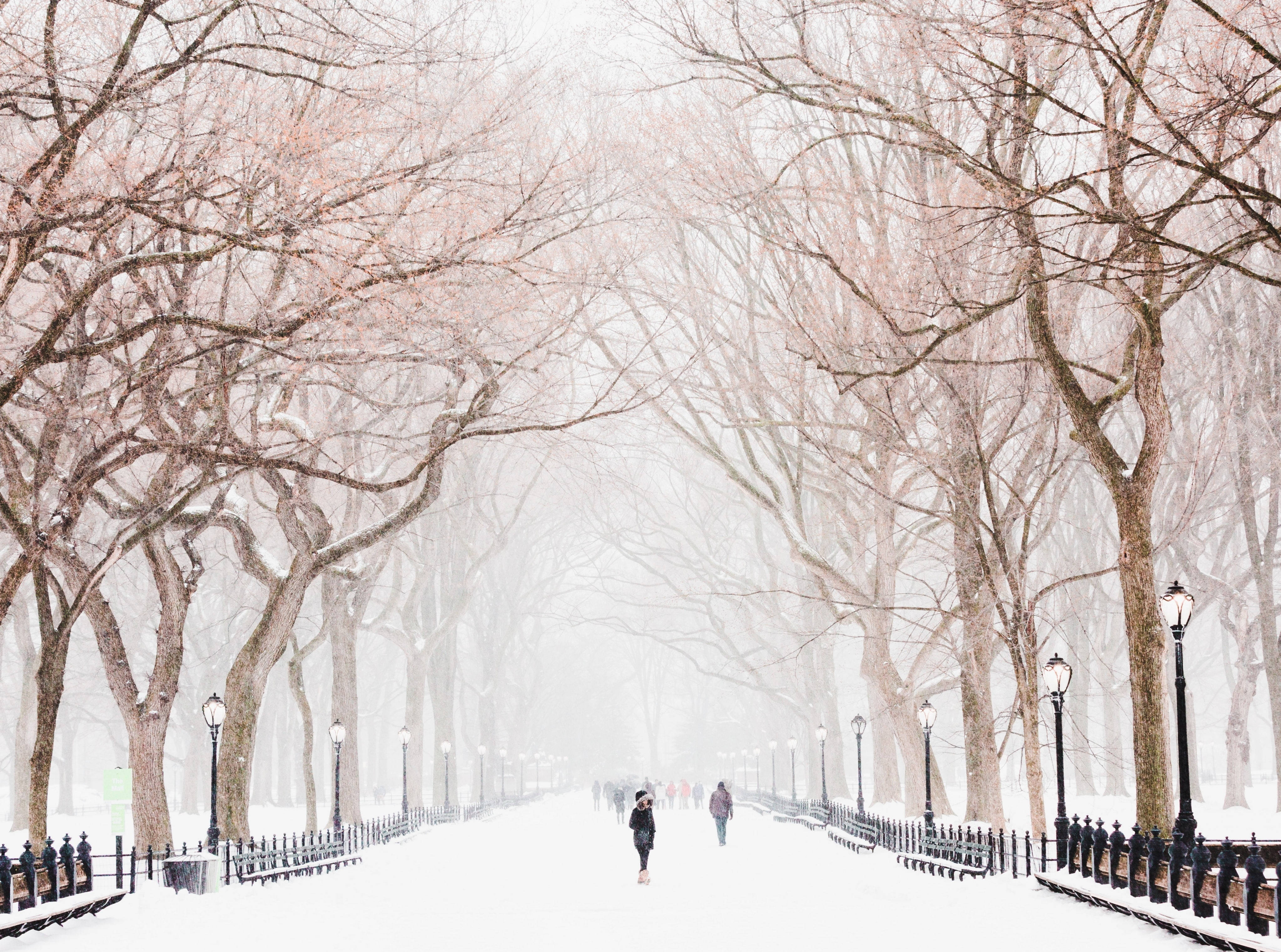 雪 桌布 壁紙 — 一條被白雪覆蓋的公園小徑，兩旁是光禿禿的樹木和路燈，人們正走向朦朧的冬日遠方。