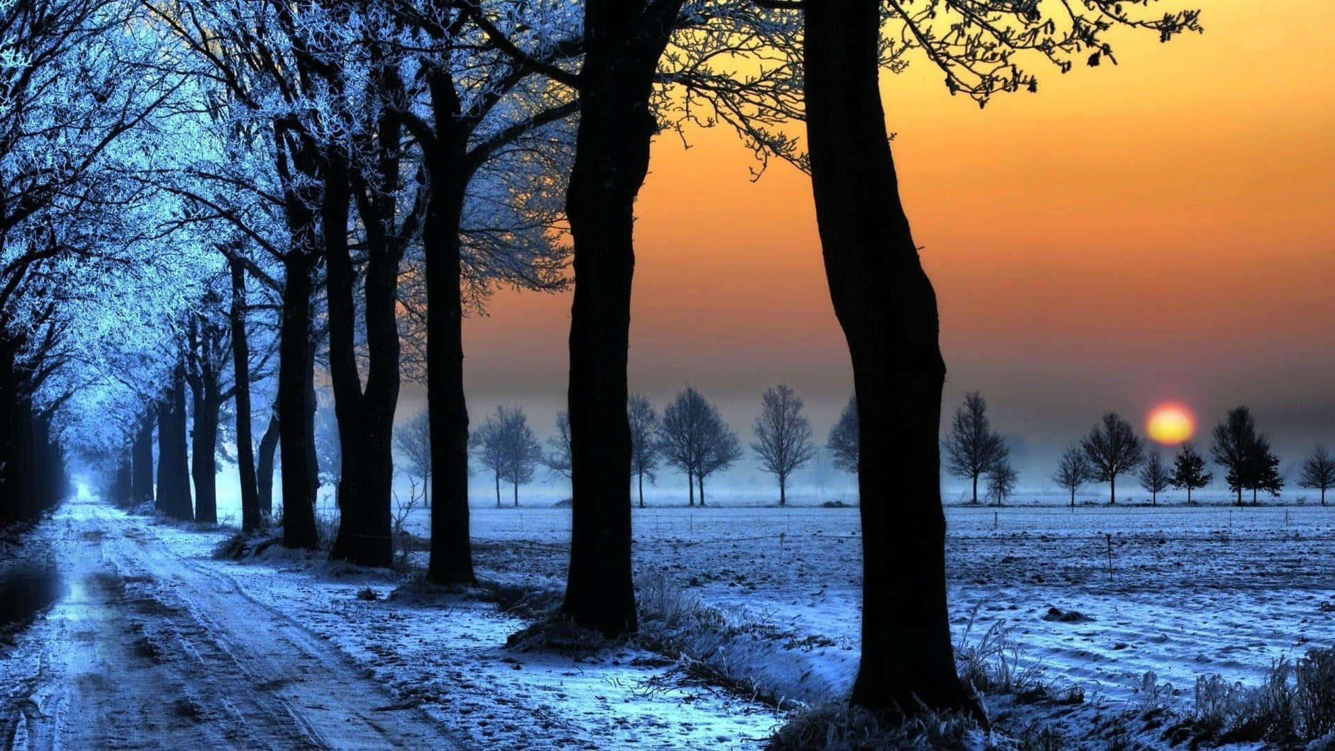桌布 壁紙 — 一條被白雪覆蓋的道路，兩旁是光禿禿的樹木，延伸進一片霧氣瀰漫的田野，溫暖的夕陽在地平線上閃耀。