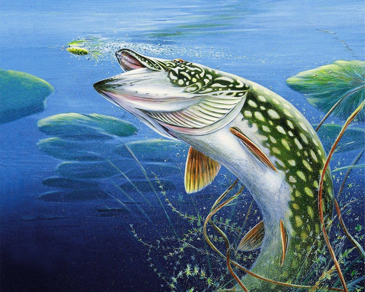 酷魚 桌布 壁紙 — 一條被繪製的梭子魚從深藍色的水中躍起，在睡蓮和蘆葦附近抓住一隻綠色的青蛙。