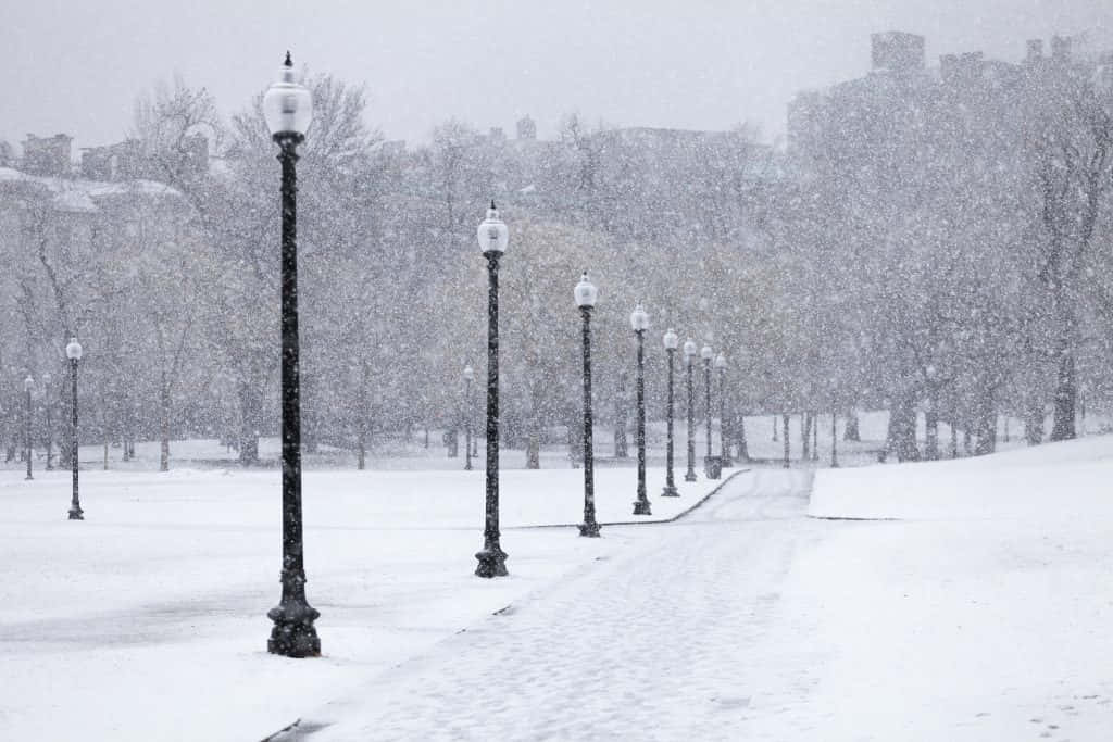 Snow 4K 桌布 壁紙 — 一條被雪覆蓋的公園小徑，兩旁是復古路燈，大雪紛飛，背景是光禿禿的樹木和遠處的建築物。