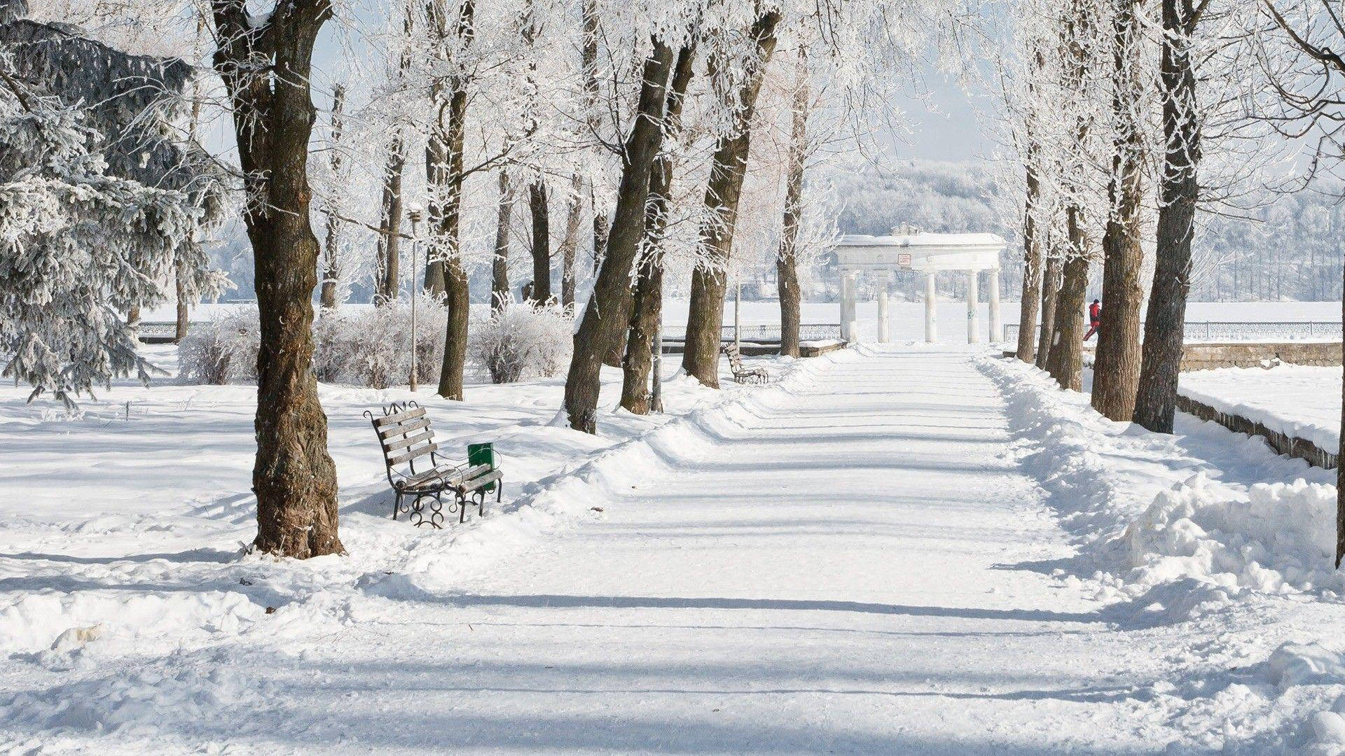 冬季 桌布 壁紙 — 一條被雪覆蓋的公園小徑，兩旁是結霜的樹木，在明亮的冬日陽光下通往一個白色涼亭。
