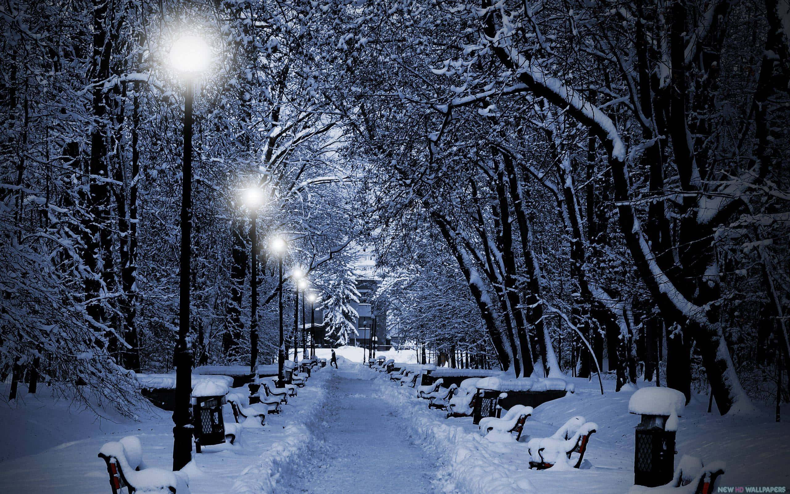 Winter Night Desktop 桌布 壁紙 — 一條被雪覆蓋的公園小徑在夜晚被發光的街燈照亮，柔和的光線灑在積雪的樹木和長椅上。
