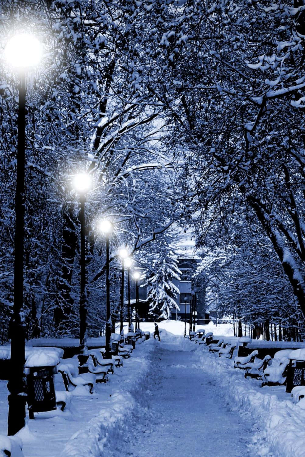 冬季聖誕 桌布 壁紙 — 一條被雪覆蓋的公園小徑在夜晚被發光的街燈照亮，將藍光投射在積雪的樹木和長椅上。
