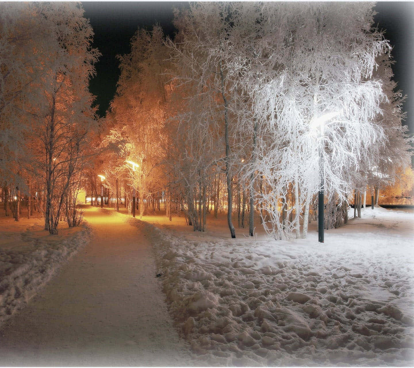 美學 桌布 壁紙 — 一條被雪覆蓋的冬夜小徑，兩旁結霜的樹木在街燈下溫暖地發光。