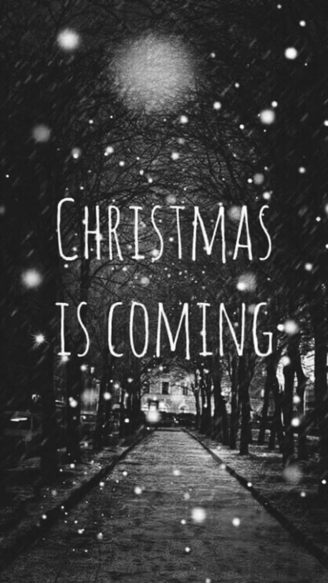 Christmas Quote 桌布 壁紙 — 一條被雪覆蓋的夜晚小徑，兩旁是光禿禿的樹木，在明亮的月亮下，閃爍的雪花和文字寫著Christmas is coming。