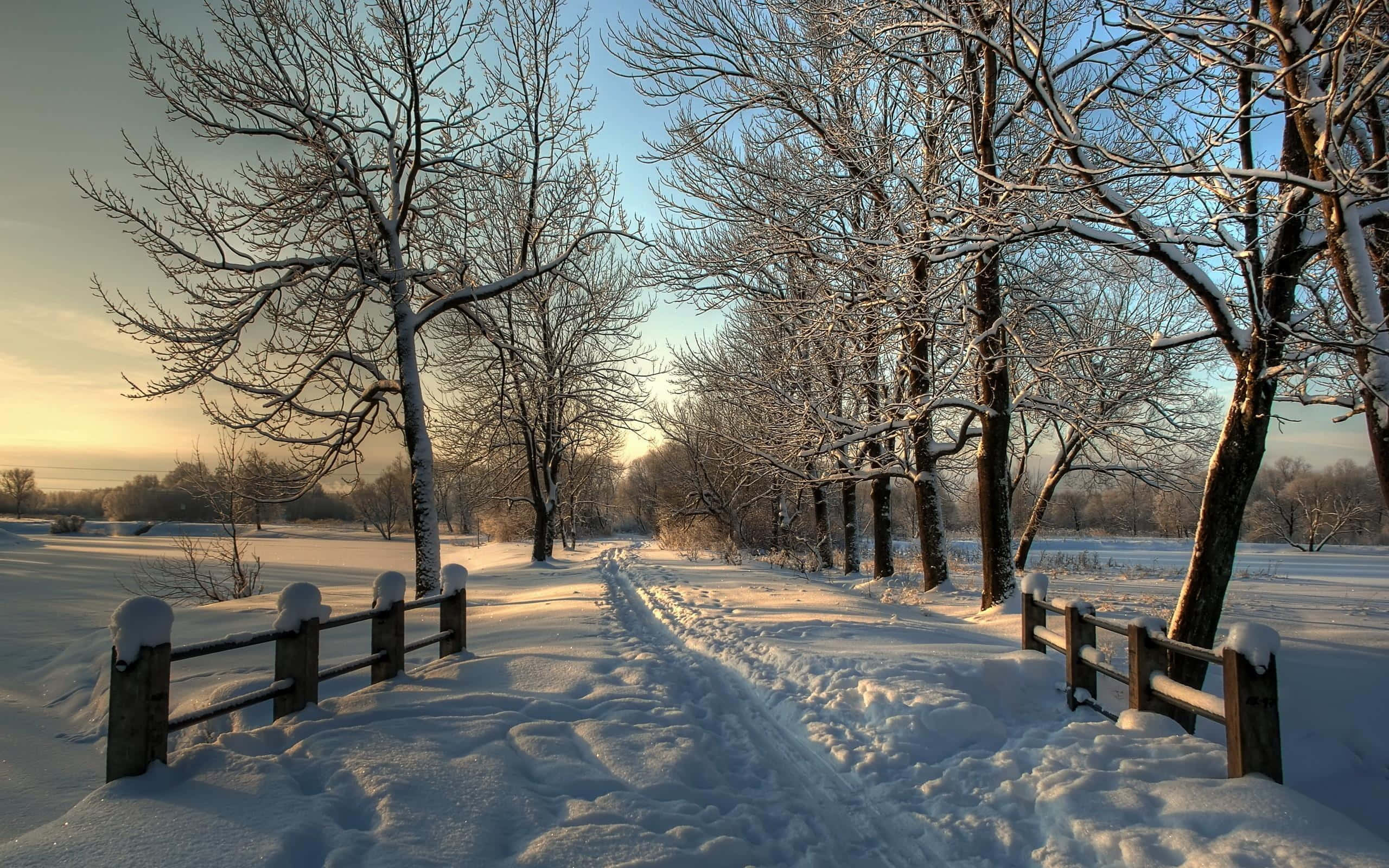 Snowy Village 桌布 壁紙 — 一條被雪覆蓋的小徑在日出時蜿蜒穿過光禿禿的樹木，沿途有結霜的樹枝和木柵欄。