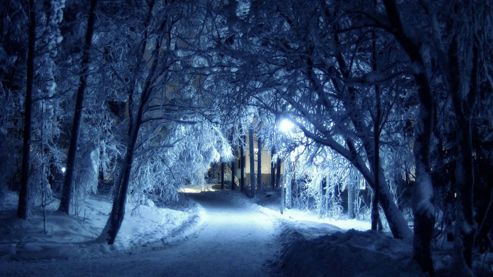 冬季桌面 桌布 壁紙 — 一條被雪覆蓋的小徑蜿蜒穿過結冰的森林，夜晚由一盞發光的路燈照亮，在冰冷的樹枝上投射出藍光。