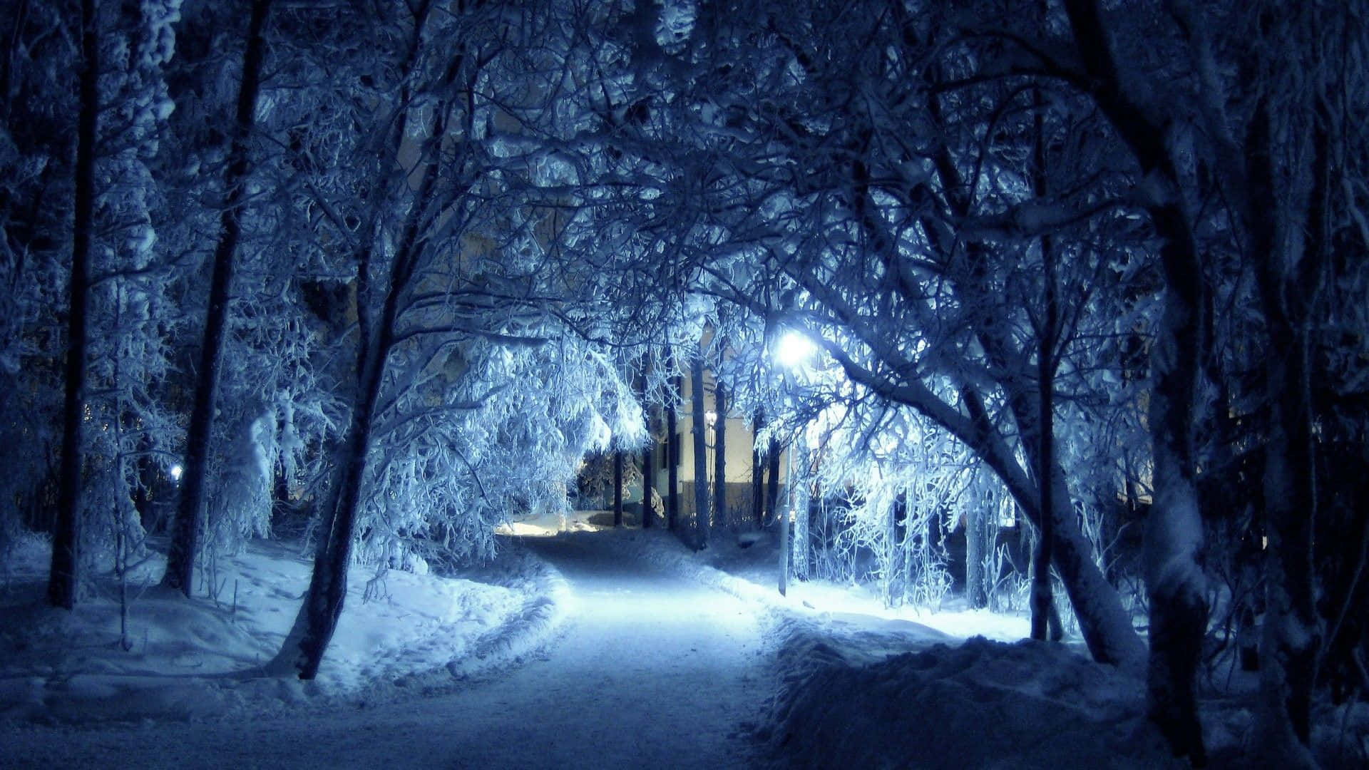 1080p Winter 桌布 壁紙 — 一條被雪覆蓋的小徑蜿蜒穿過結霜的森林，夜晚由一盞發光的街燈照亮，在冰冷的樹枝上投射出藍光。