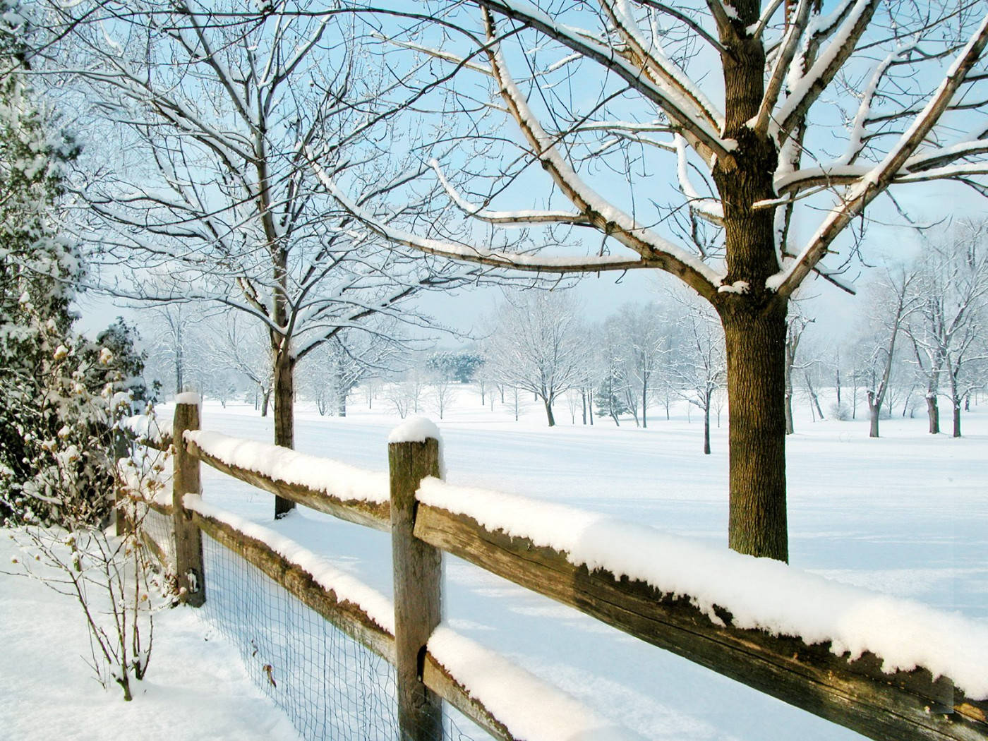 雪 桌布 壁紙 — 一條被雪覆蓋的木柵欄，在晴朗的藍天下，環繞著一個有裸樹的寧靜冬季田野。
