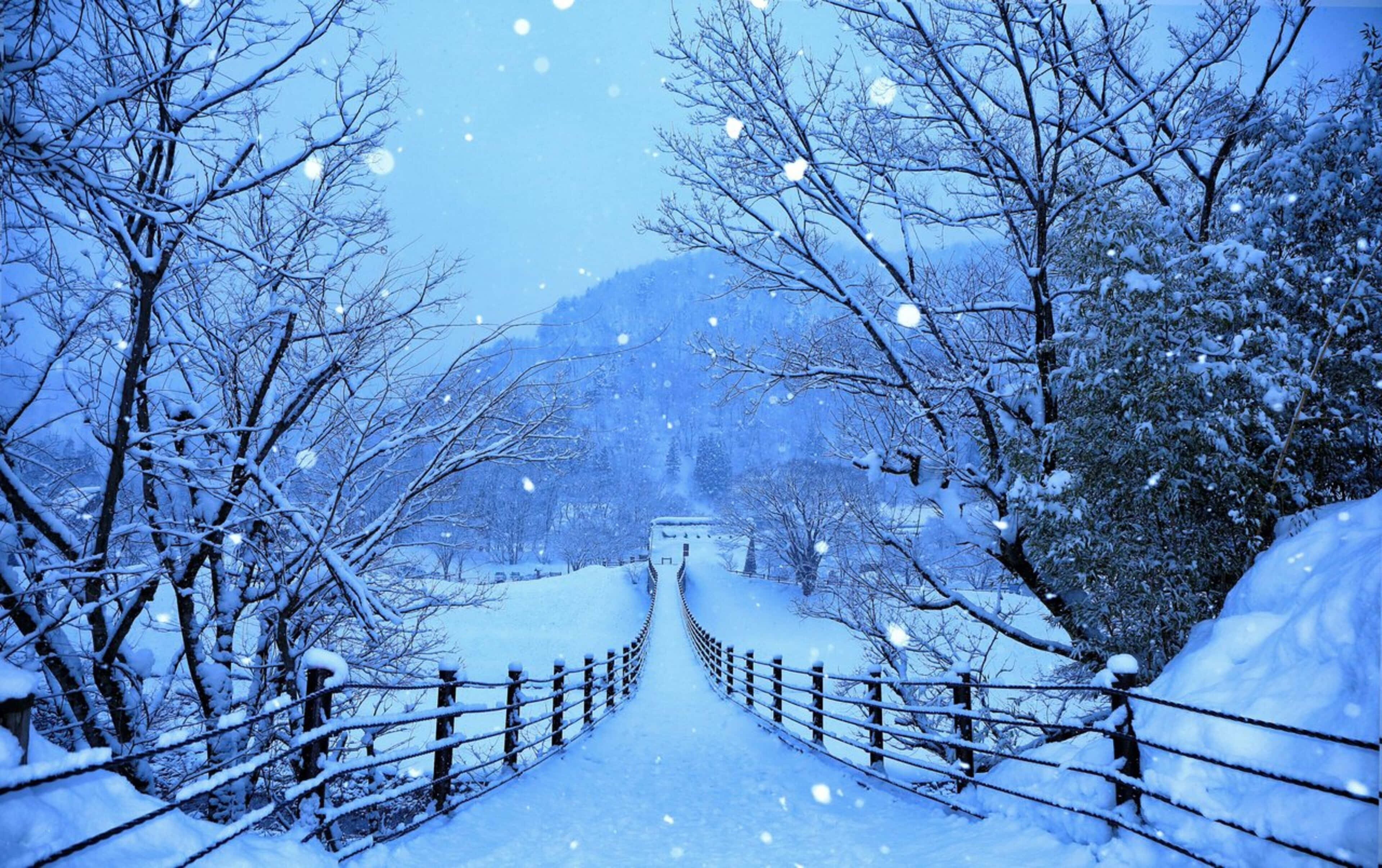 Road 桌布 壁紙 — 一條被雪覆蓋的木橋蜿蜒穿過寧靜的冬季森林，雪花飄落。