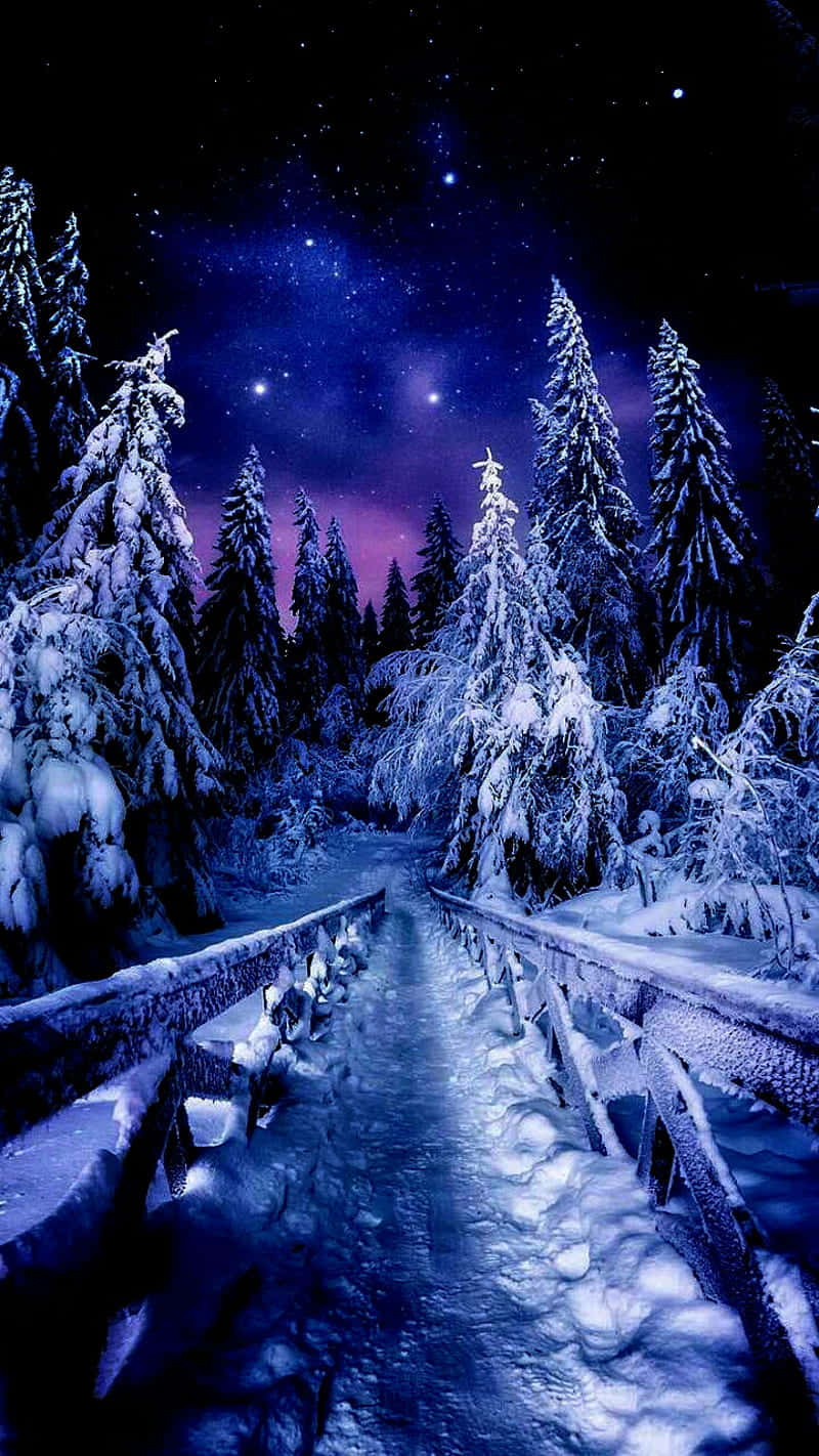 夜空 桌布 壁紙 — 一條被雪覆蓋的木橋蜿蜒穿過繁星點點的冬季森林，在充滿活力的紫色和藍色夜空下。