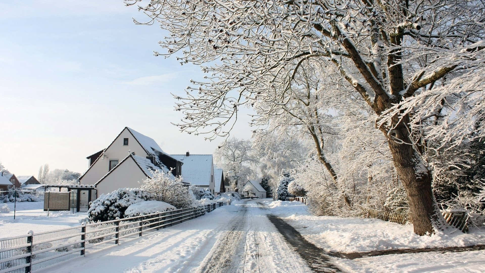 Snowy Village 桌布 壁紙 — 一條被雪覆蓋的村莊道路，兩旁是結霜的樹木和房屋，上方是清澈的藍色冬日天空。