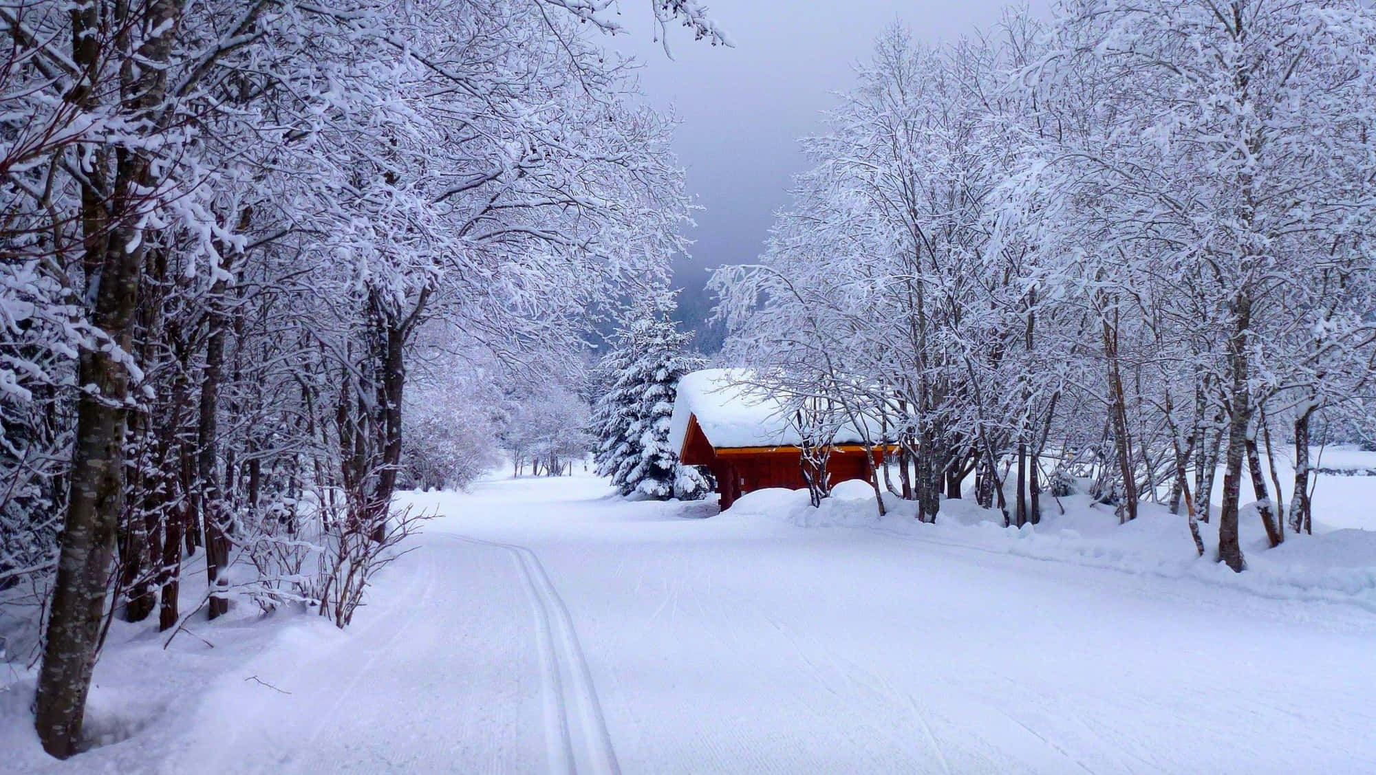 Snowy 桌布 壁紙 — 一條被雪覆蓋的森林小徑通向一間紅色小屋，小屋坐落在結霜的樹木之間，天空是灰色的冬日景象。