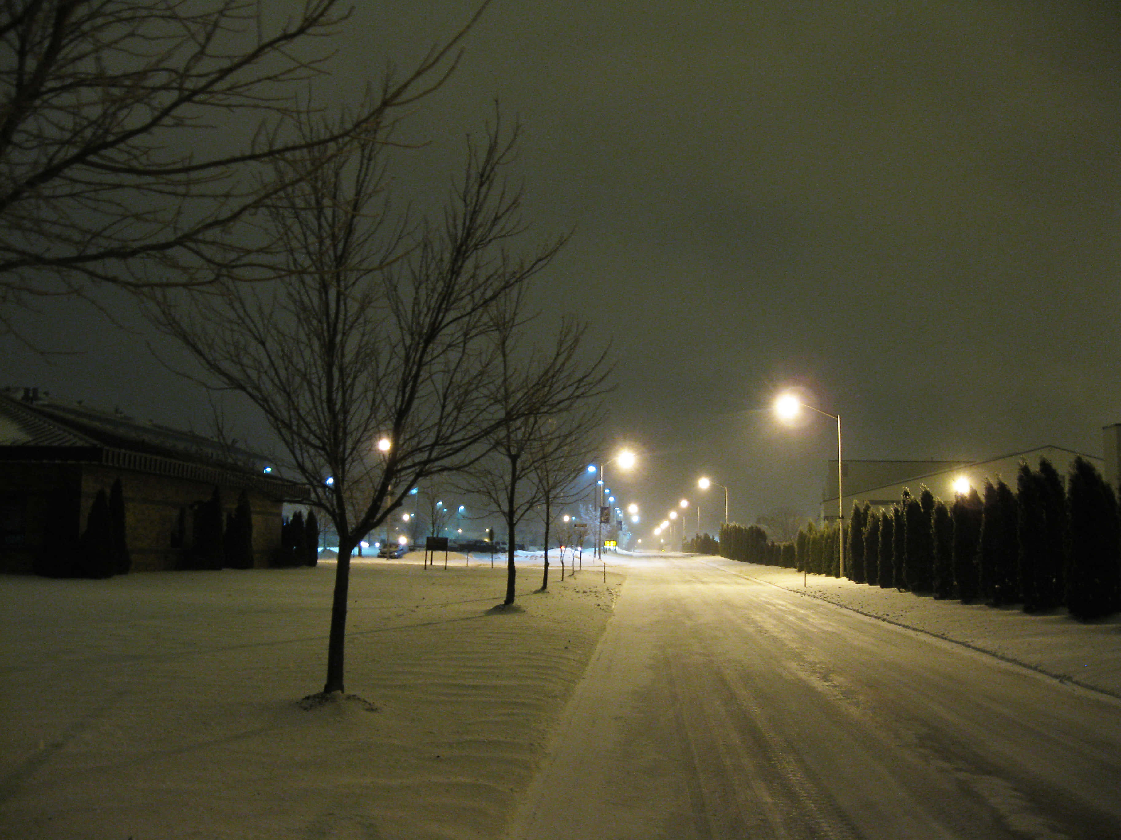 雪景 桌布 壁紙 — 一條被雪覆蓋的街道在夜晚被溫暖的路燈照亮，光禿禿的樹木排列在路邊。