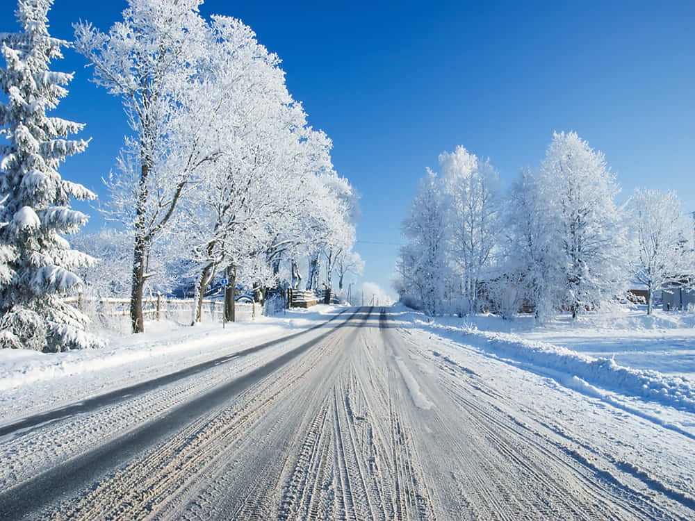 Snowy Forest 桌布 壁紙 — 一條被雪覆蓋的道路延伸到遠方，兩旁是結霜的樹木，在清澈的藍色冬日天空下。