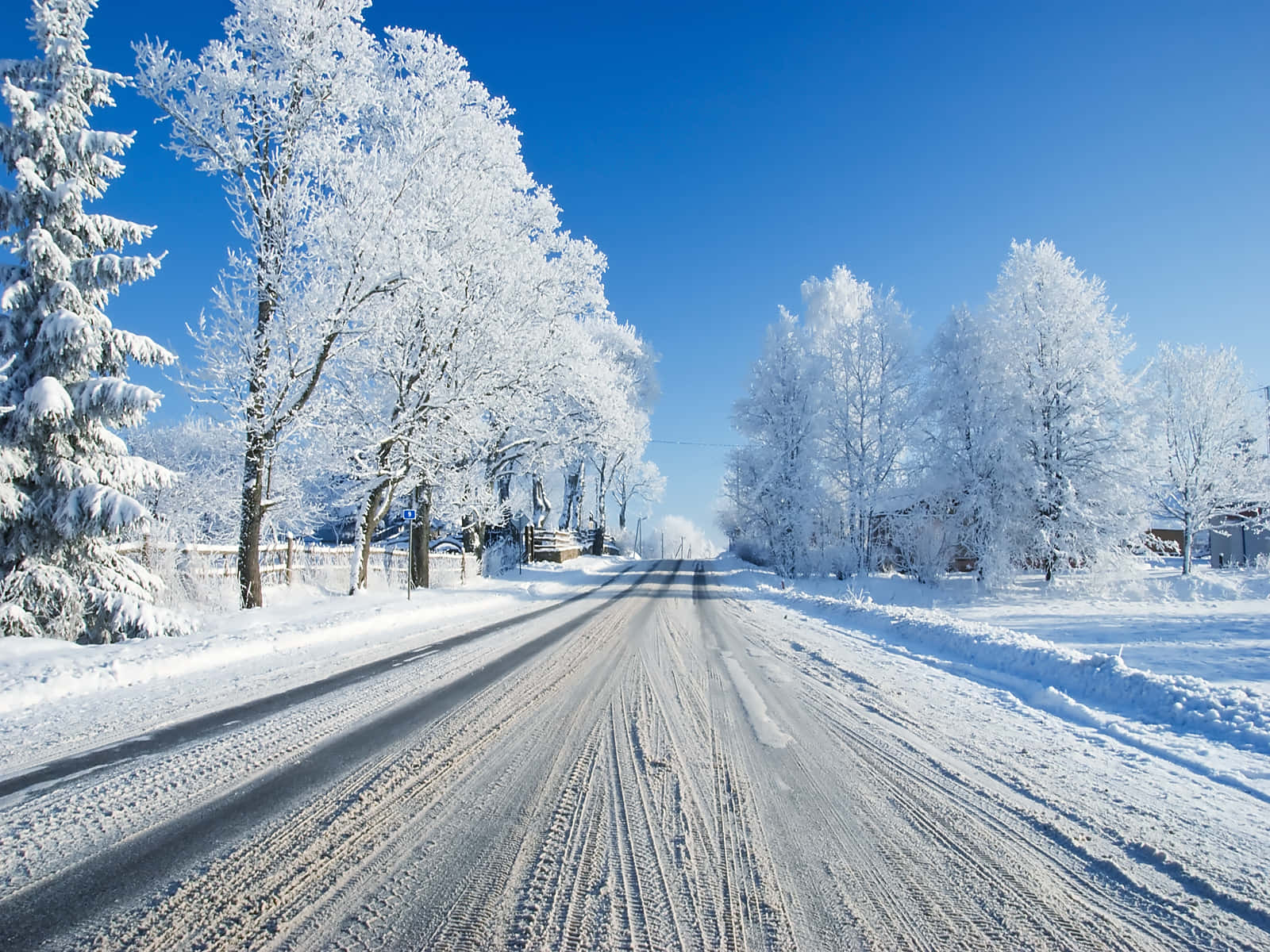 桌布 壁紙 — 一條被雪覆蓋的道路延伸到遠方，兩旁是結滿霜的樹木，上方是清澈的藍色冬日天空。