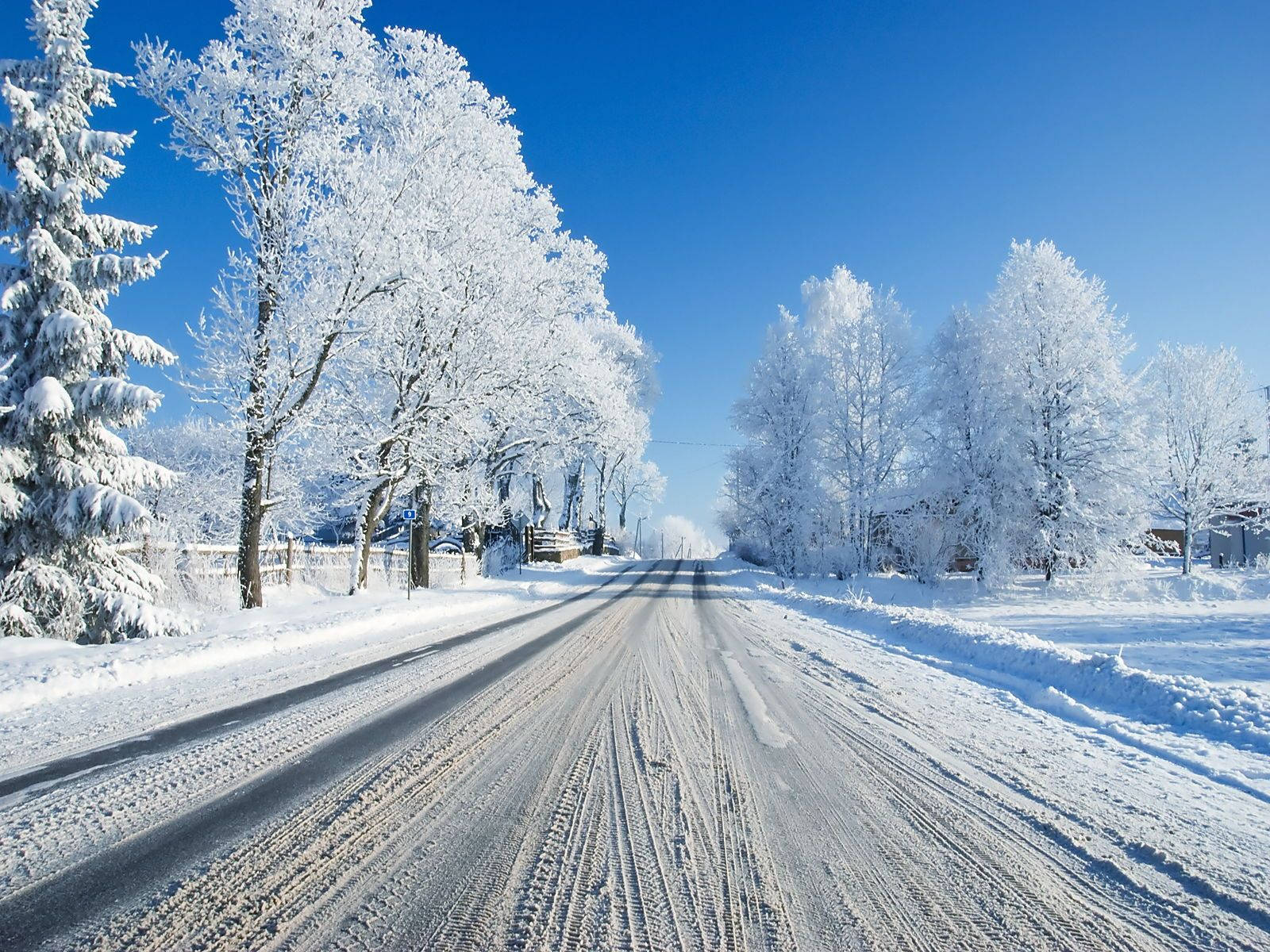 high 桌布 壁紙 — 一條被雪覆蓋的道路延伸到遠方，兩旁是結霜的樹木，在晴朗的藍色冬日天空下。
